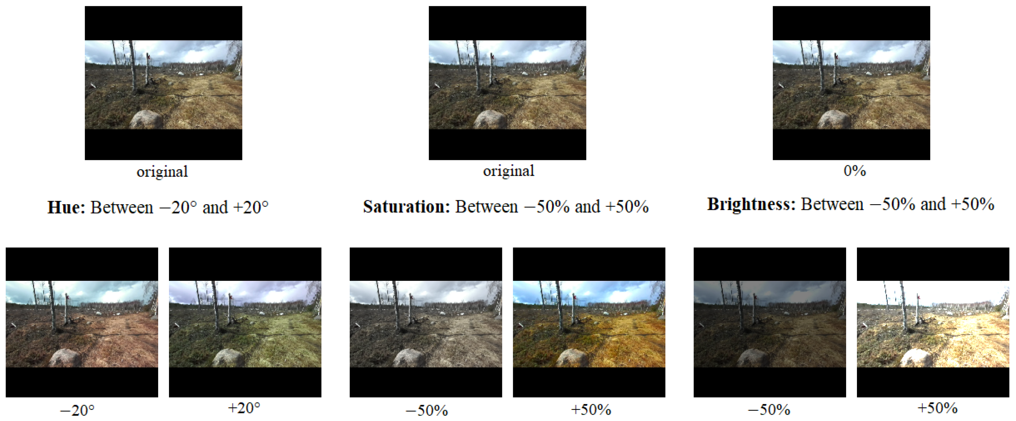Forests 12 01142 g005 550