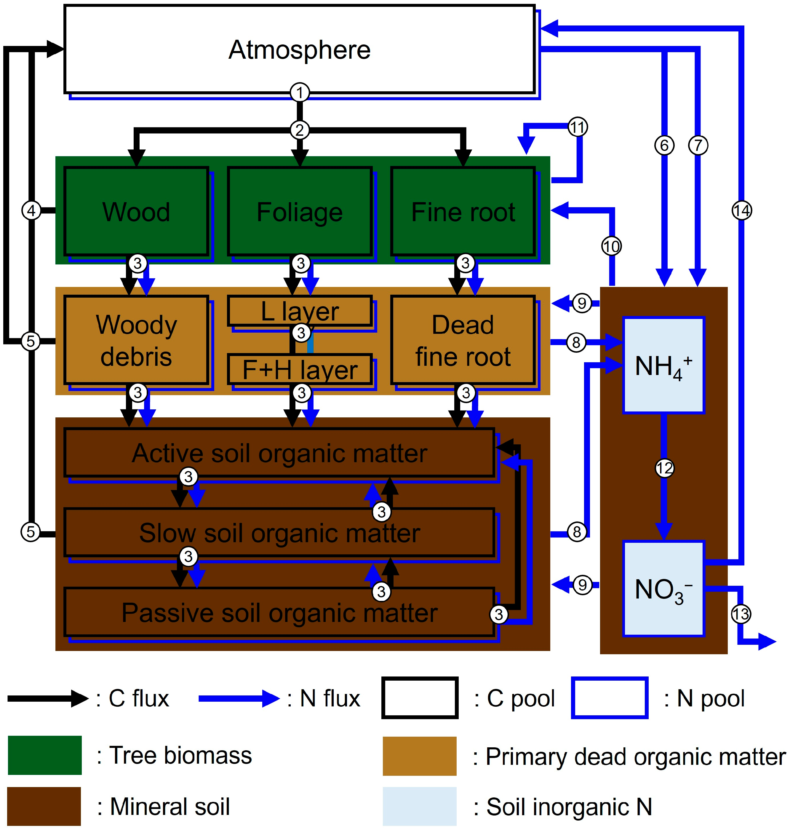 Forests 12 01150 g0a1 550