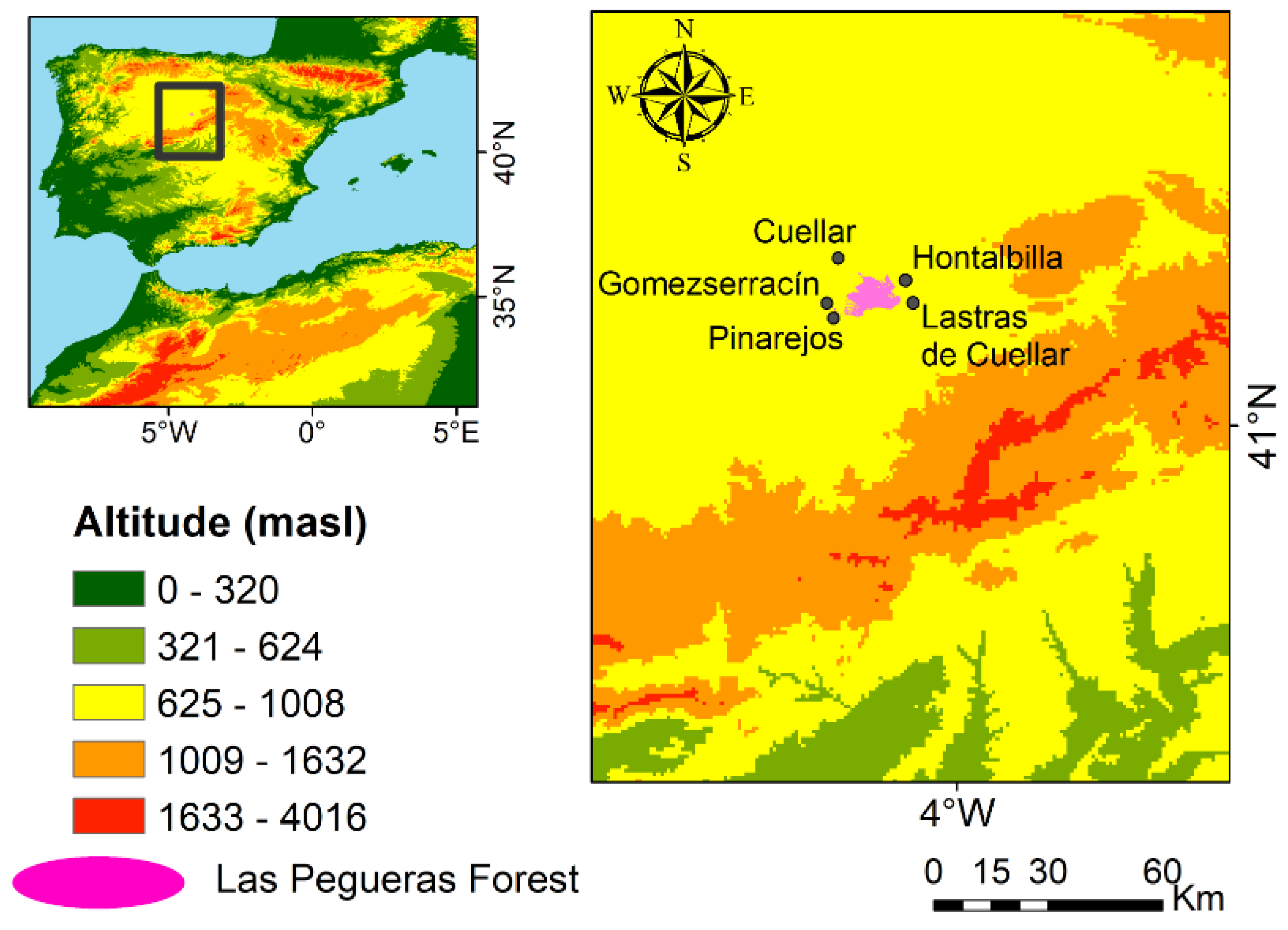 Forests 12 01151 g001 Forests 12 01151 g001