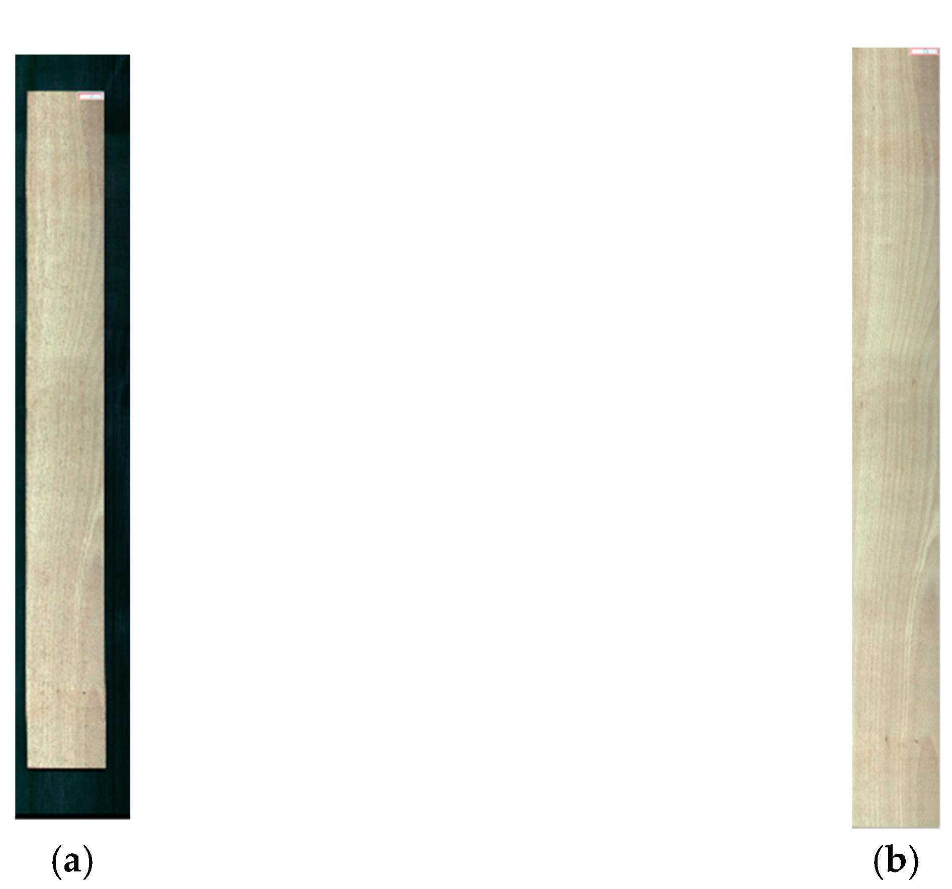 Forests 12 01154 g002 550
