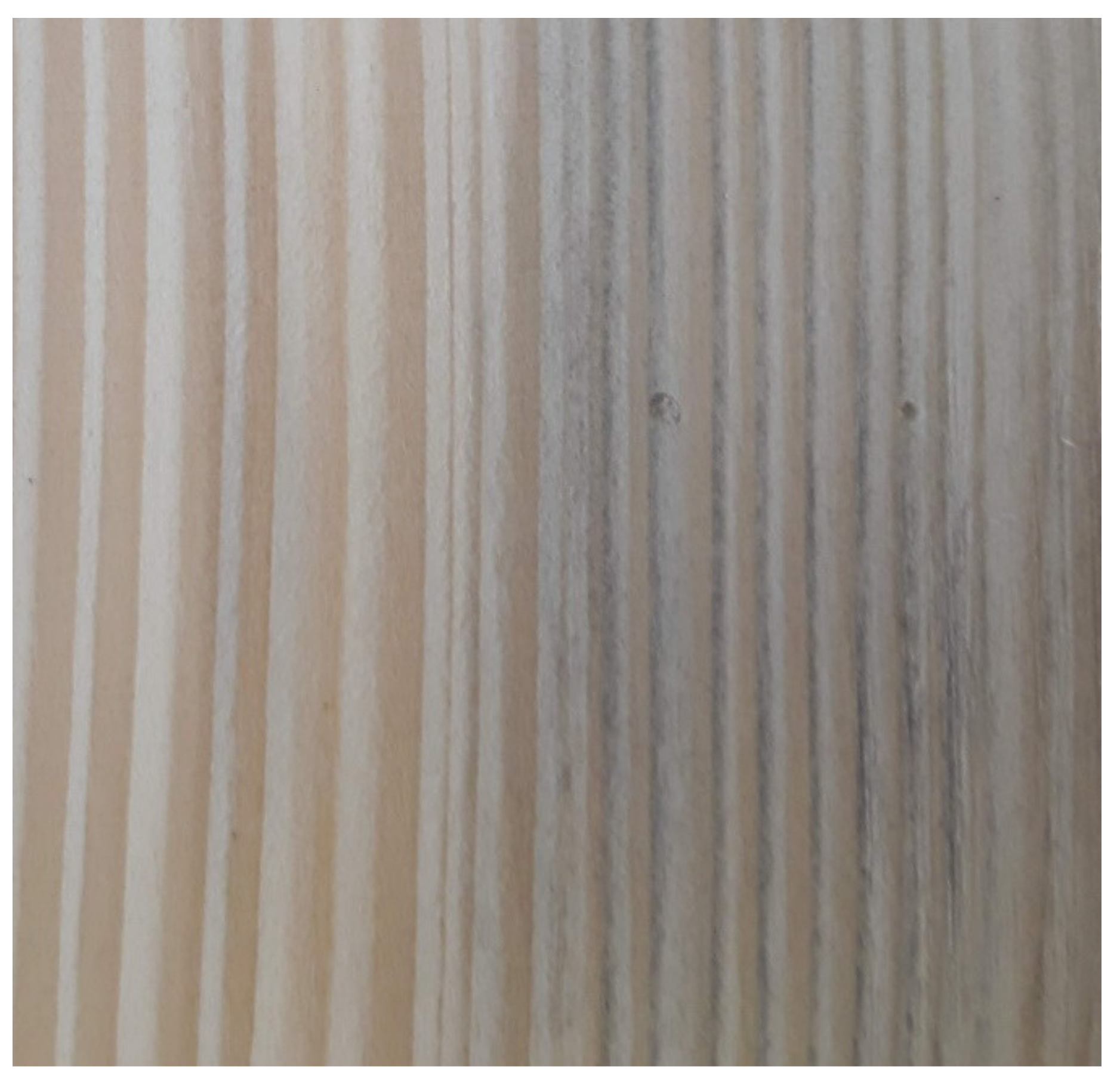 Forests 12 01163 g003 Forests 12 01163 g003