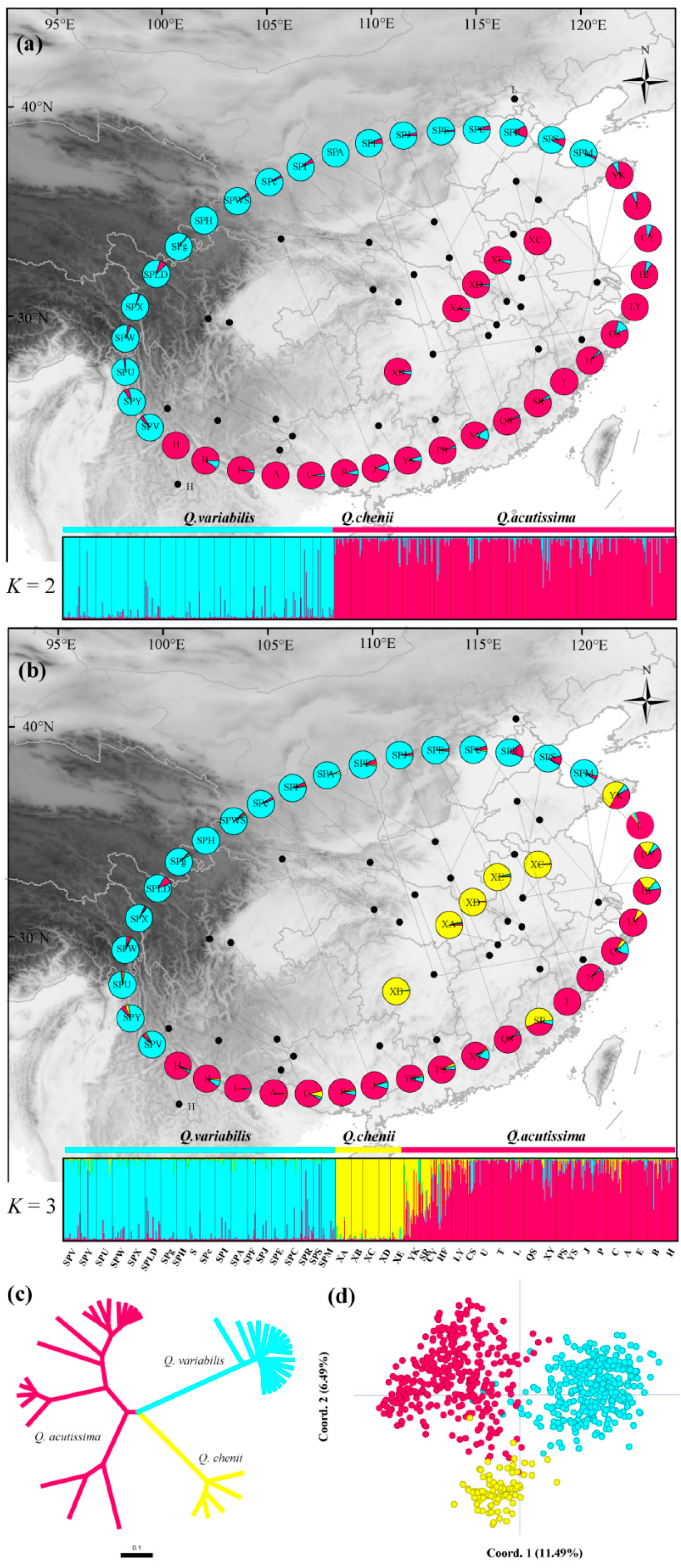 Forests 12 01164 g001