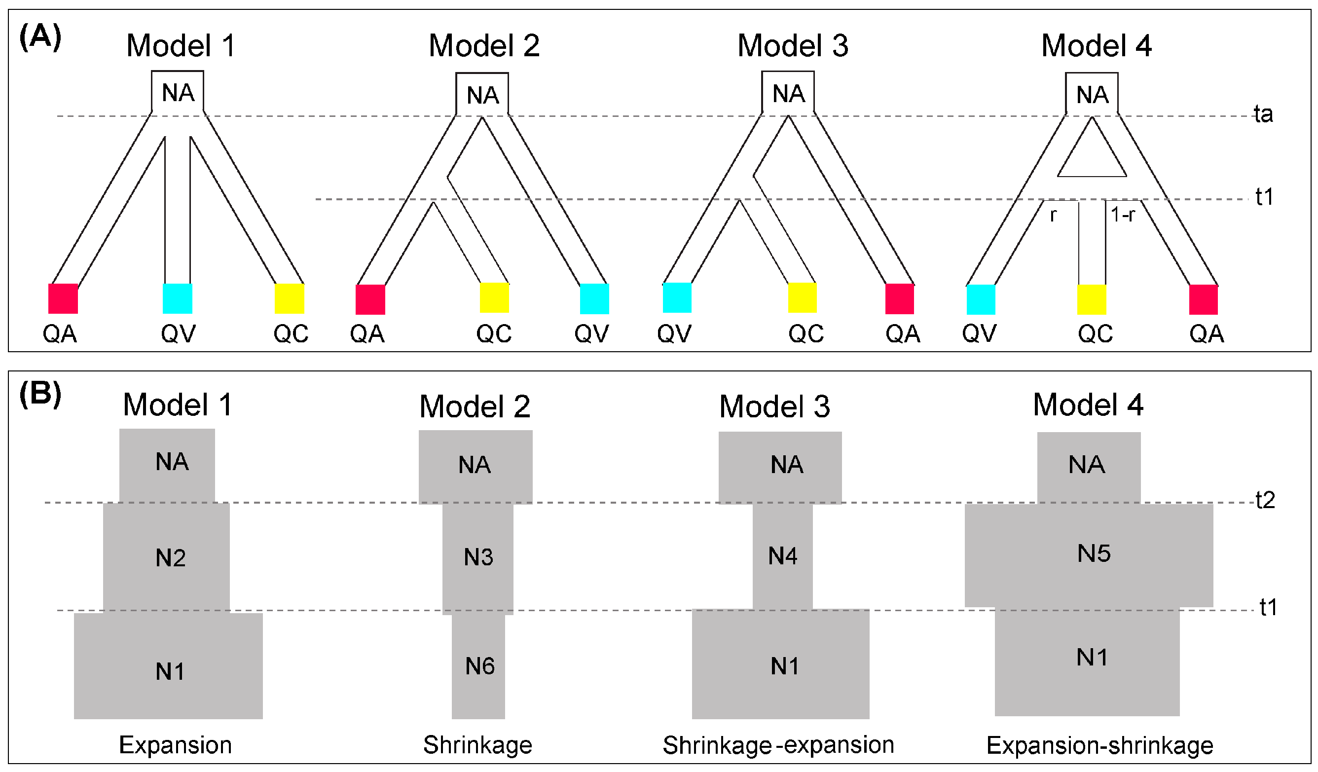 Forests 12 01164 g002