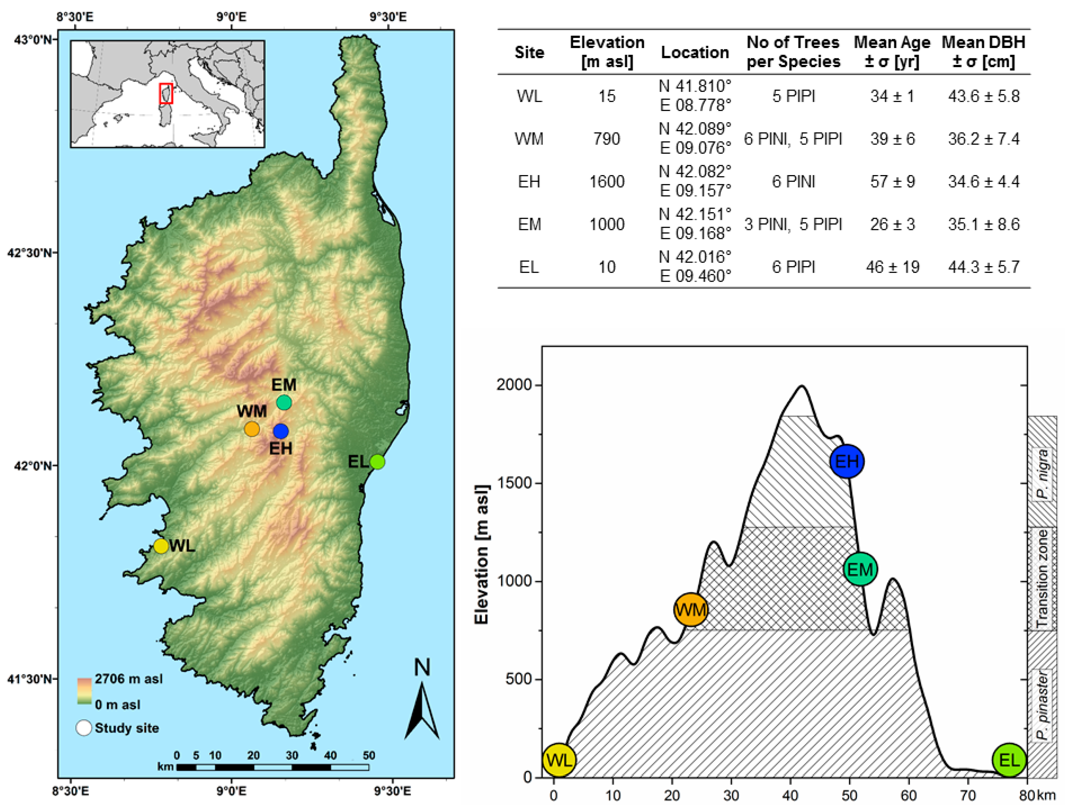 Forests 12 01175 g001 550