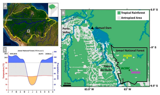 Forests Free Full Text Growth Assessment Of Native Tree Species From The Southwestern Brazilian Amazonia By Post Ad 1950 14c Analysis Implications For Tropical Dendroclimatology Studies And Atmospheric 14c Reconstructions Html