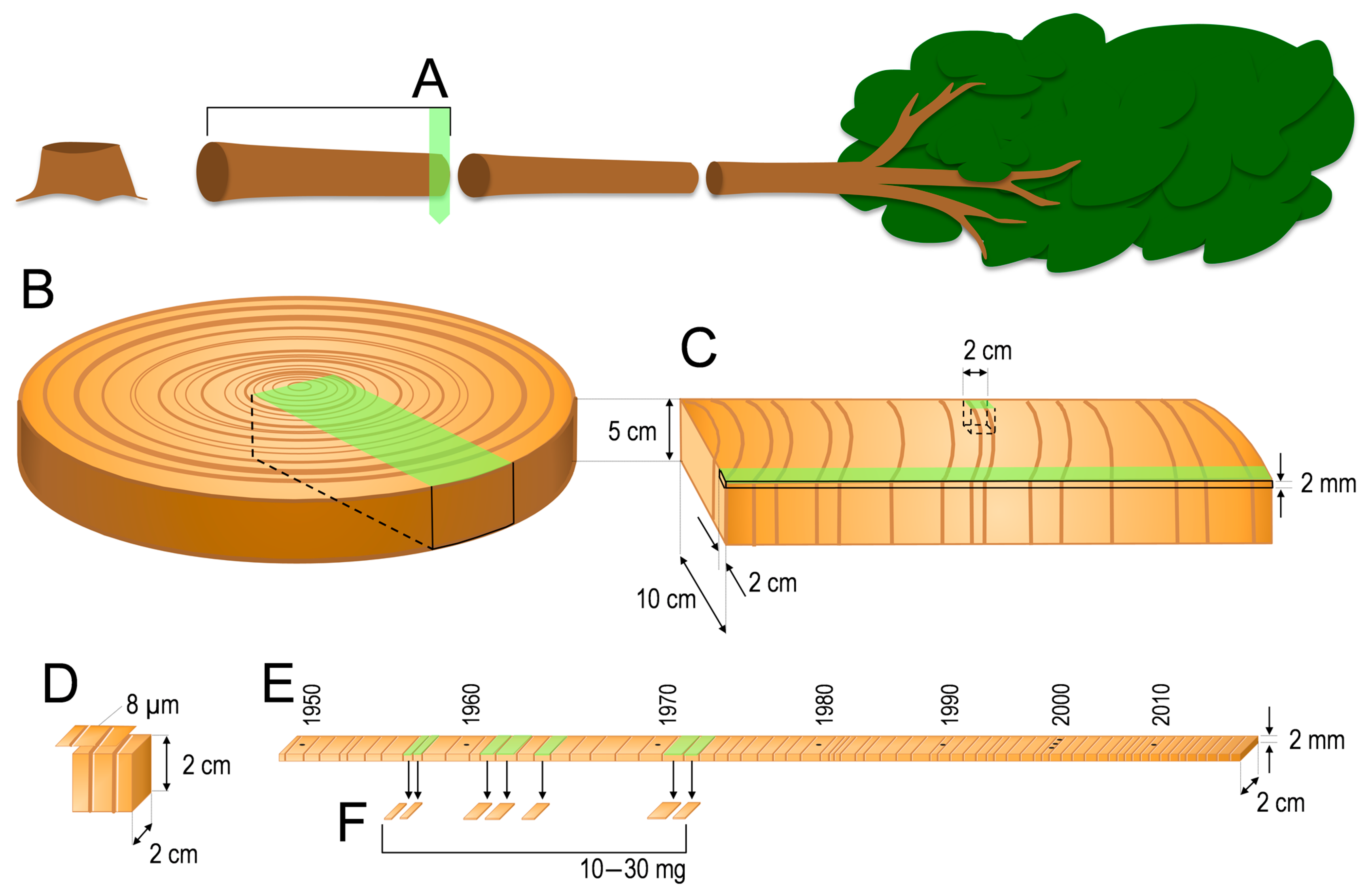 Forests 12 01177 g002 Forests 12 01177 g002