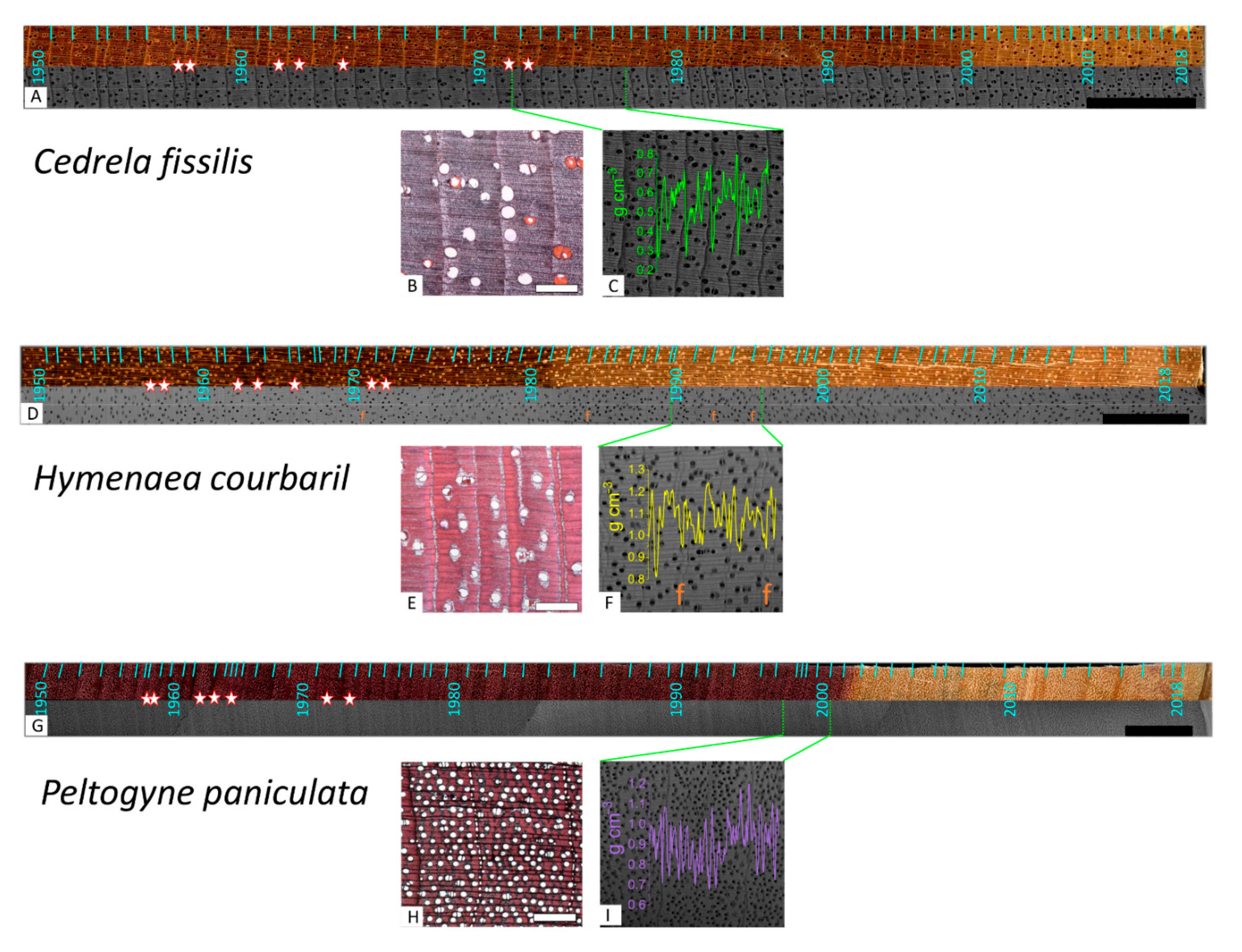 Forests 12 01177 g003 Forests 12 01177 g003