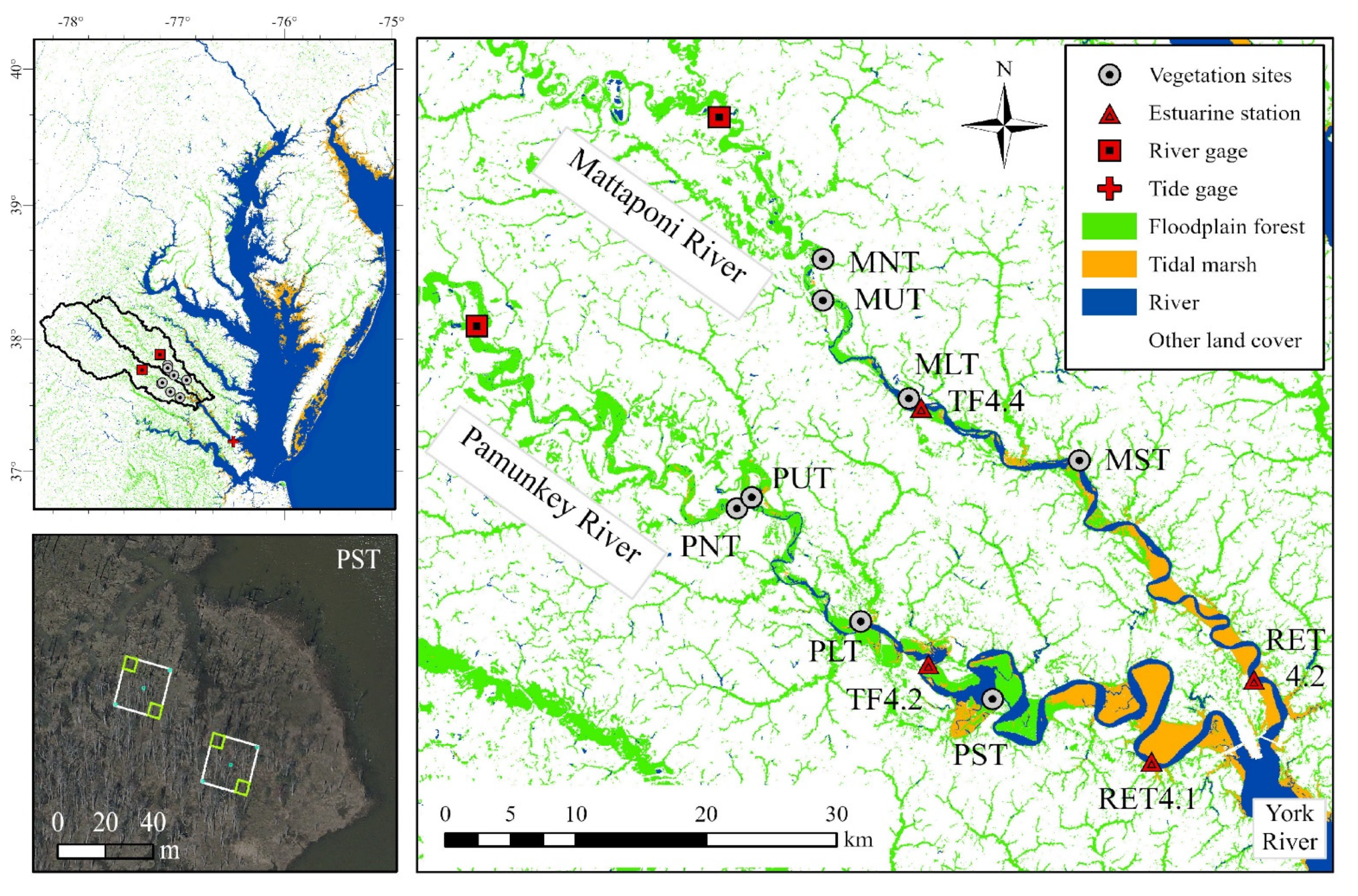 Forests 12 01182 g001