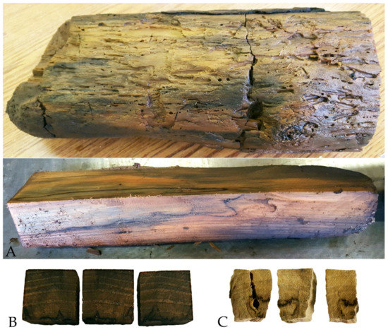 Wilson Birch Logs 1 to 1.5 inch x 17-18 inch Long - Set of 12 Logs