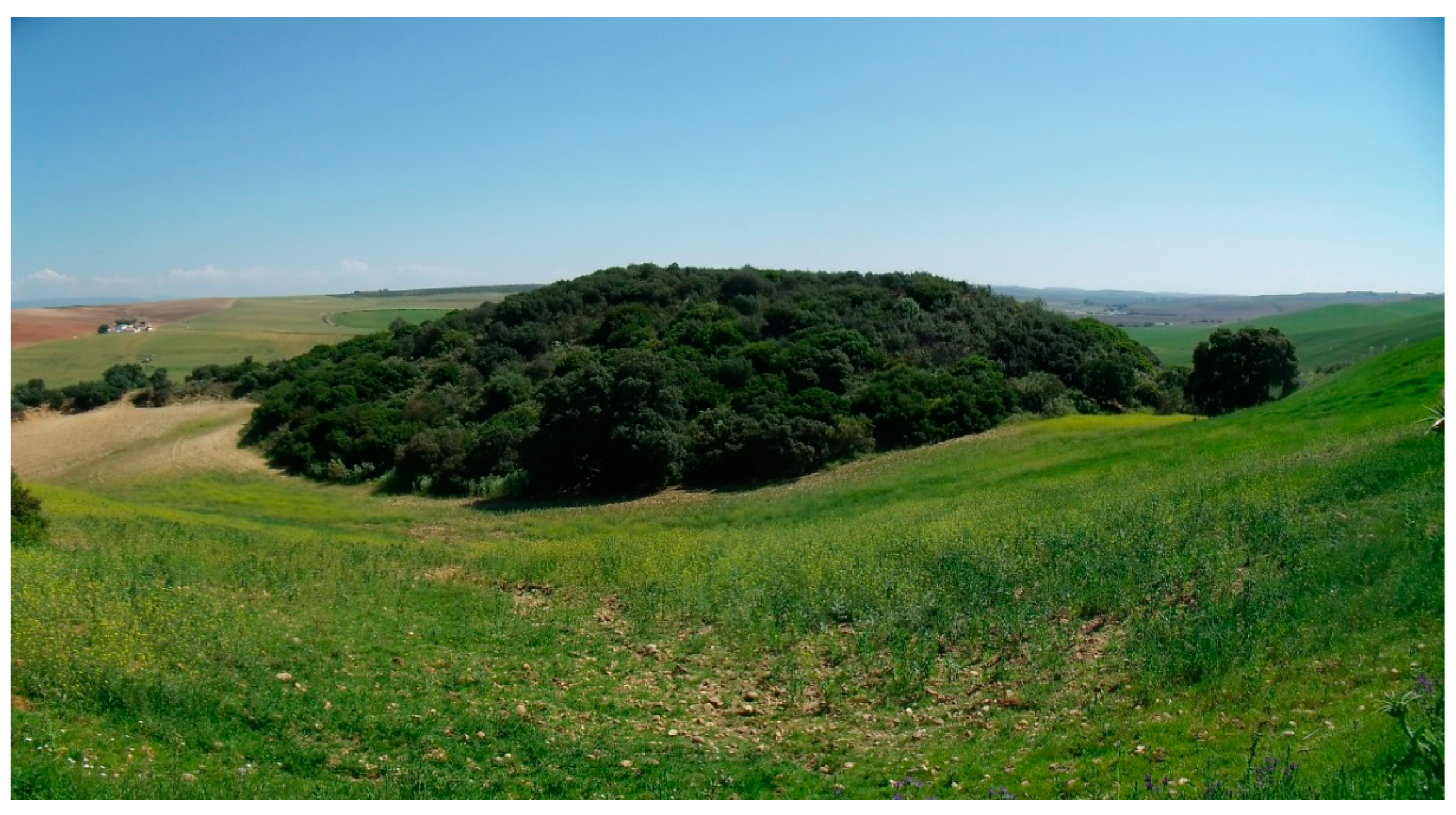 Forests 12 01201 g001