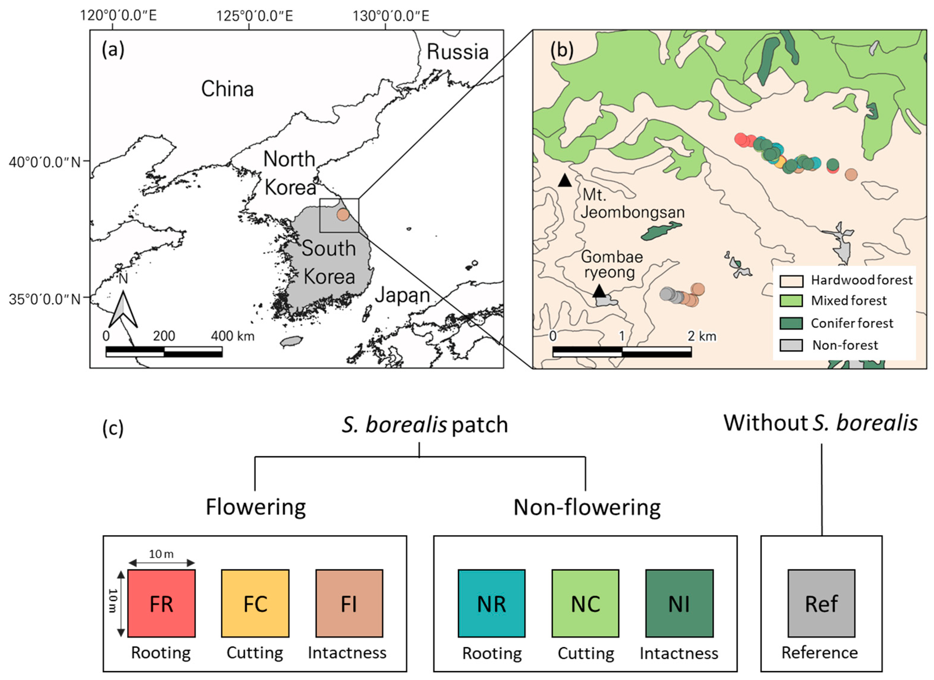 Forests 12 01207 g002