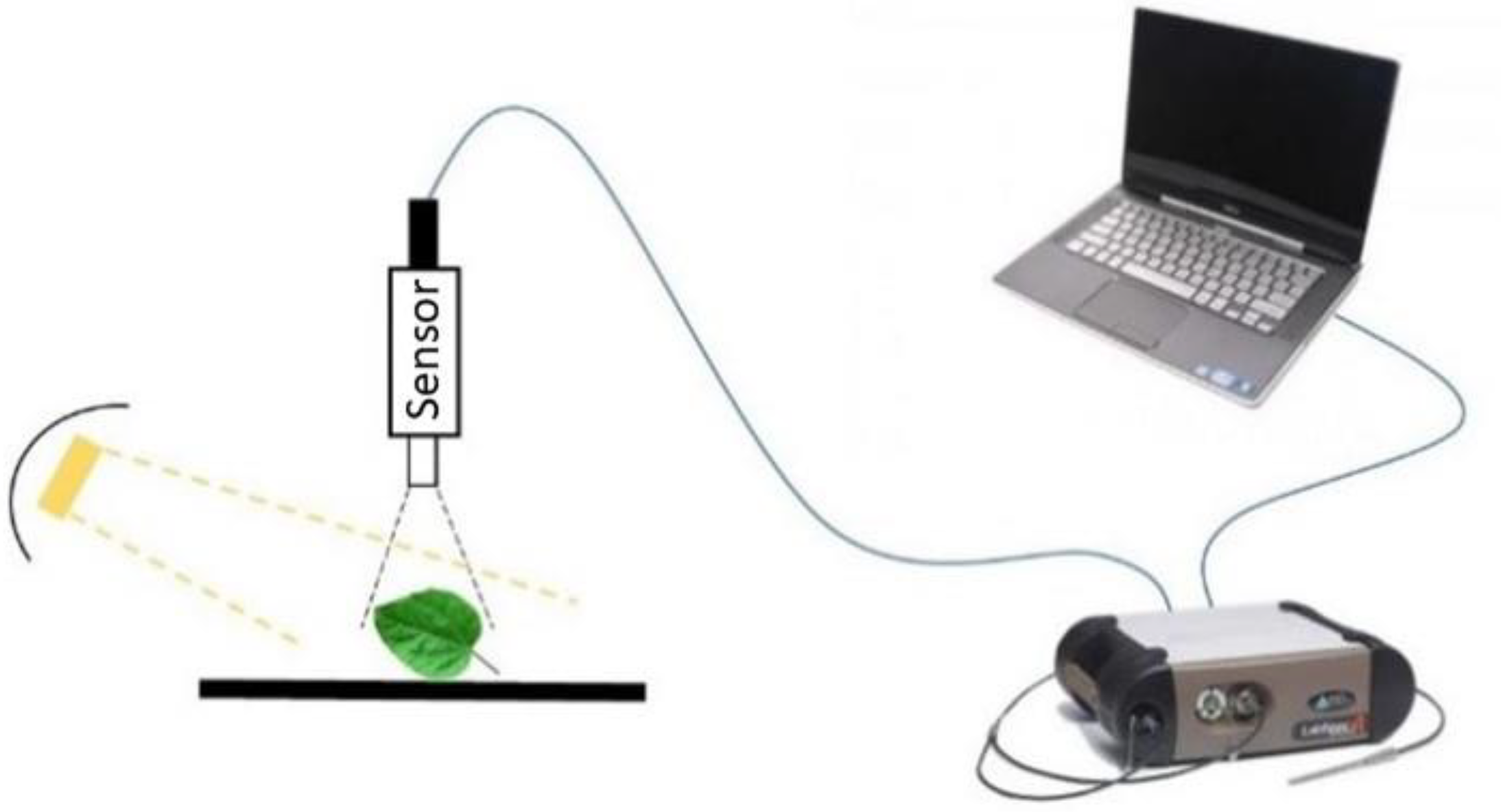 Forests 12 01208 g002 550