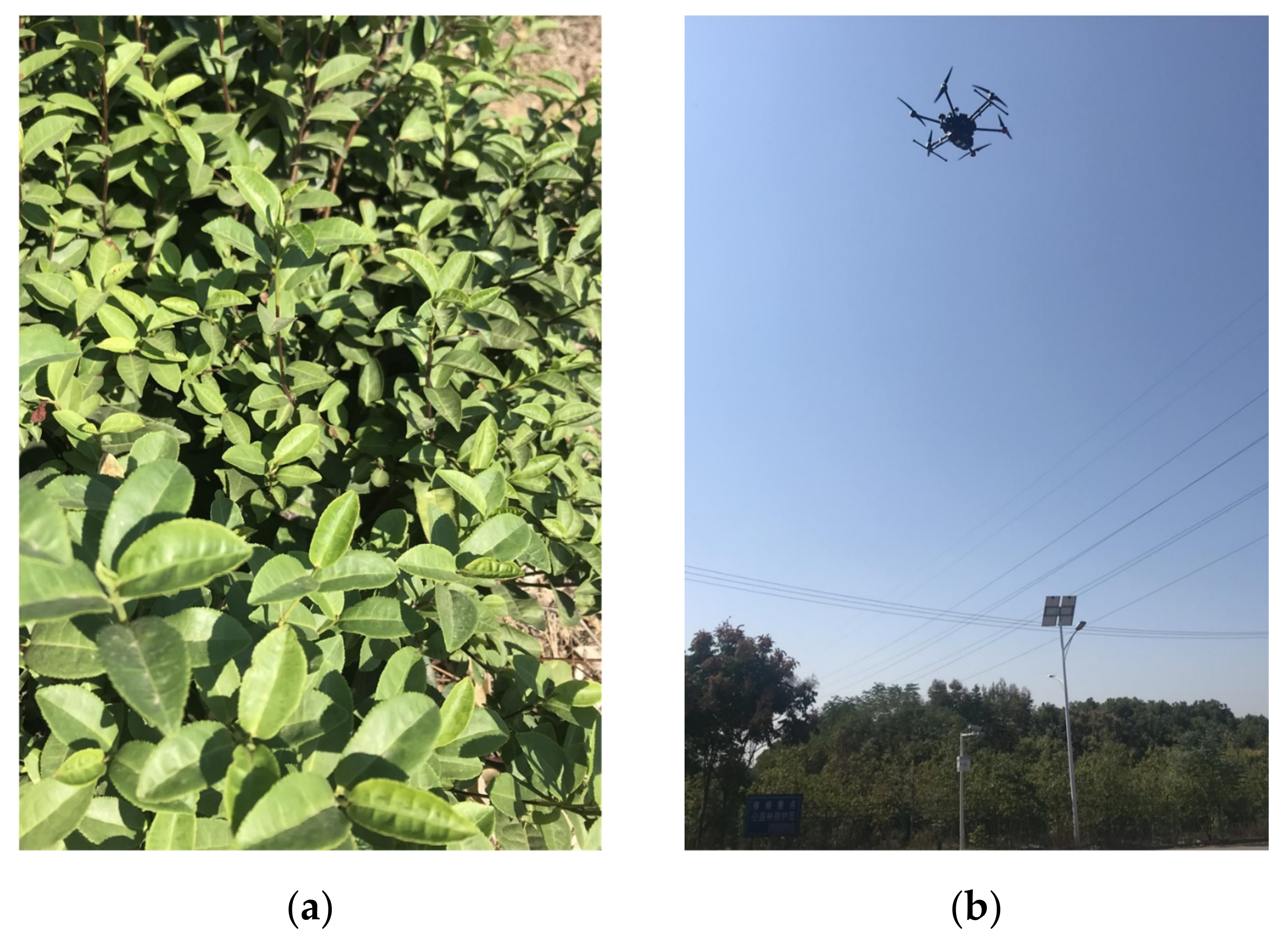 Forests 12 01214 g003