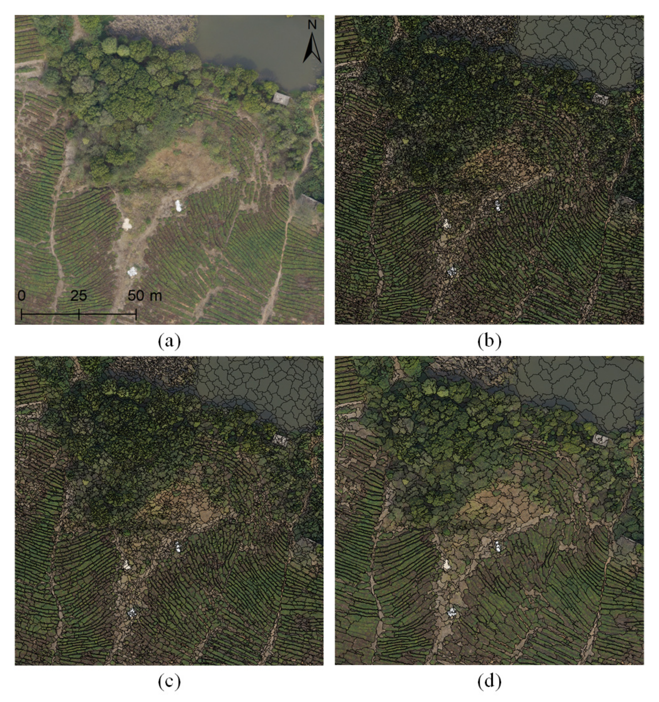Forests 12 01214 g005