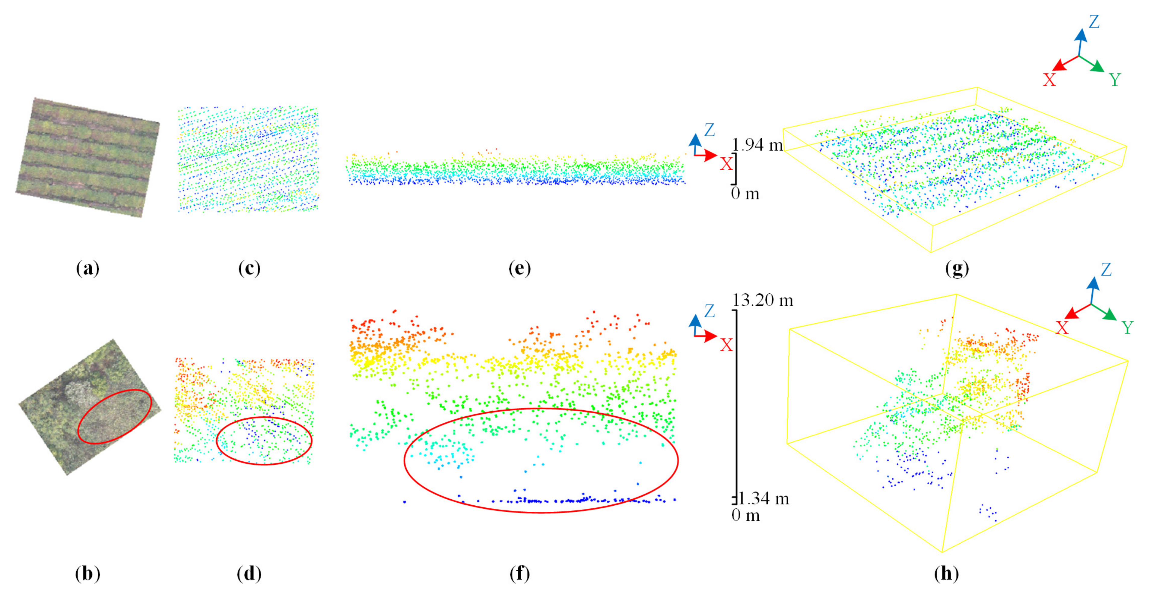Forests 12 01214 g015