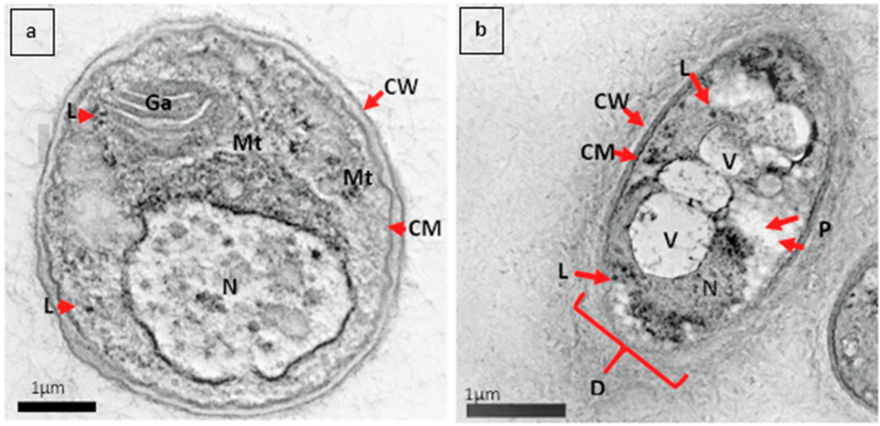 Forests 12 01231 g002 550