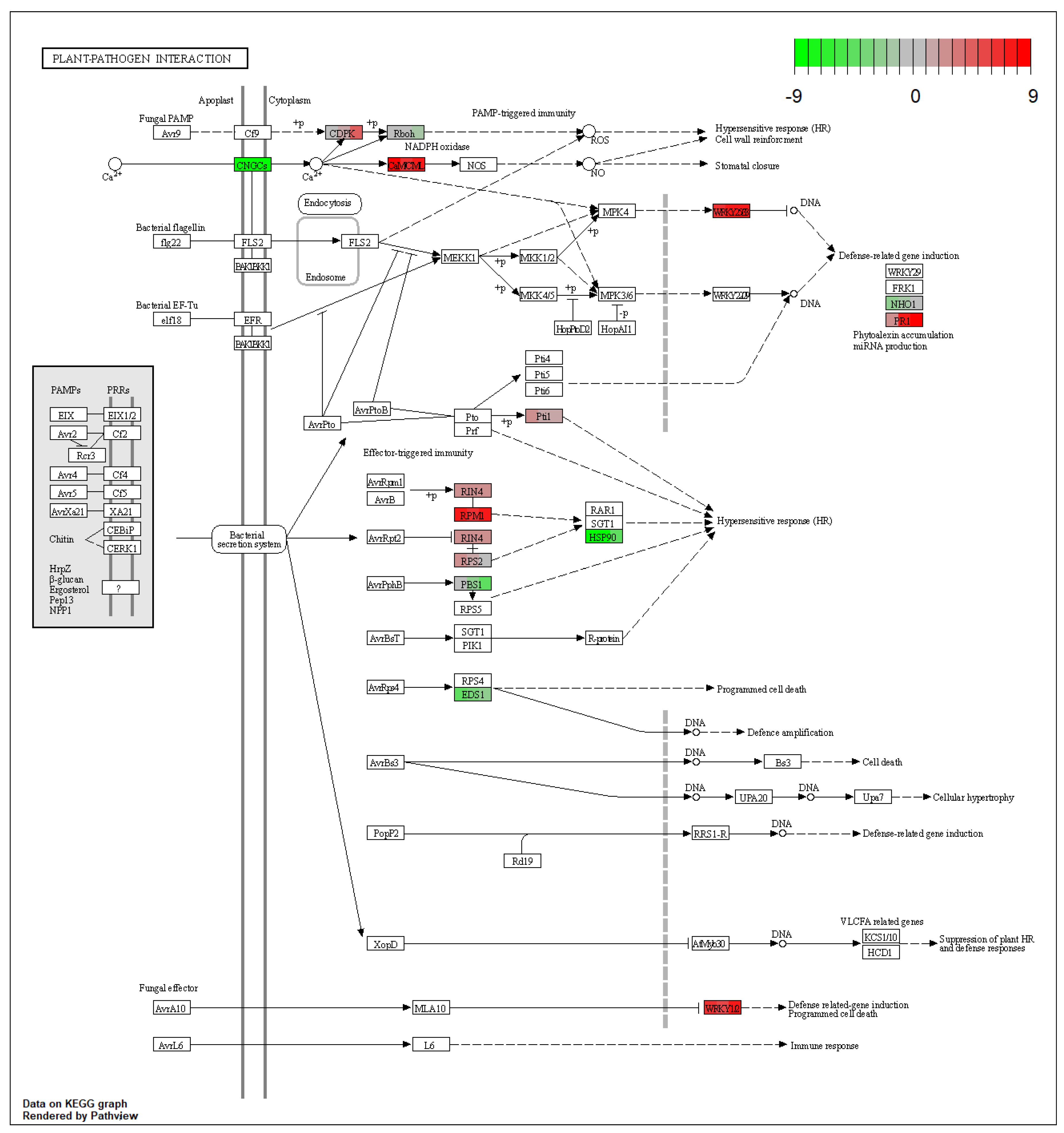 Forests 12 01232 g001 550