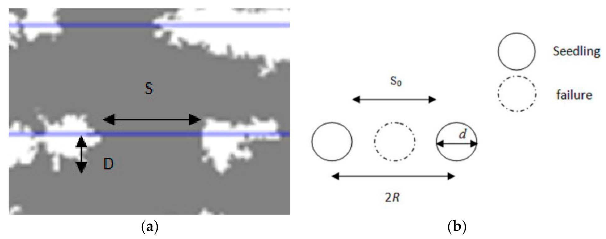 Forests 12 01250 g006