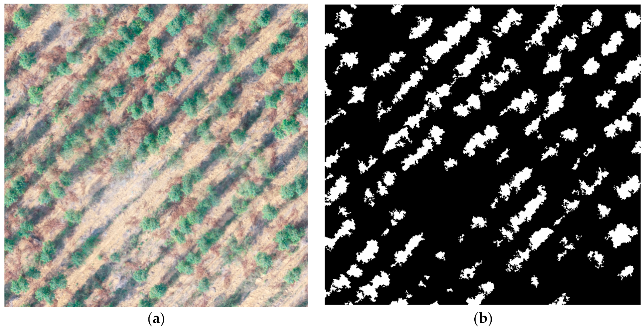 Forests 12 01250 g007
