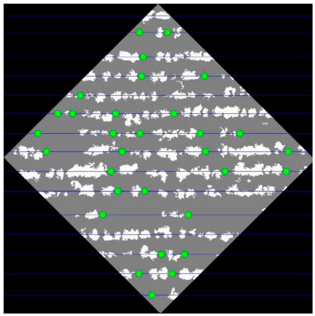 Forests 12 01250 g010