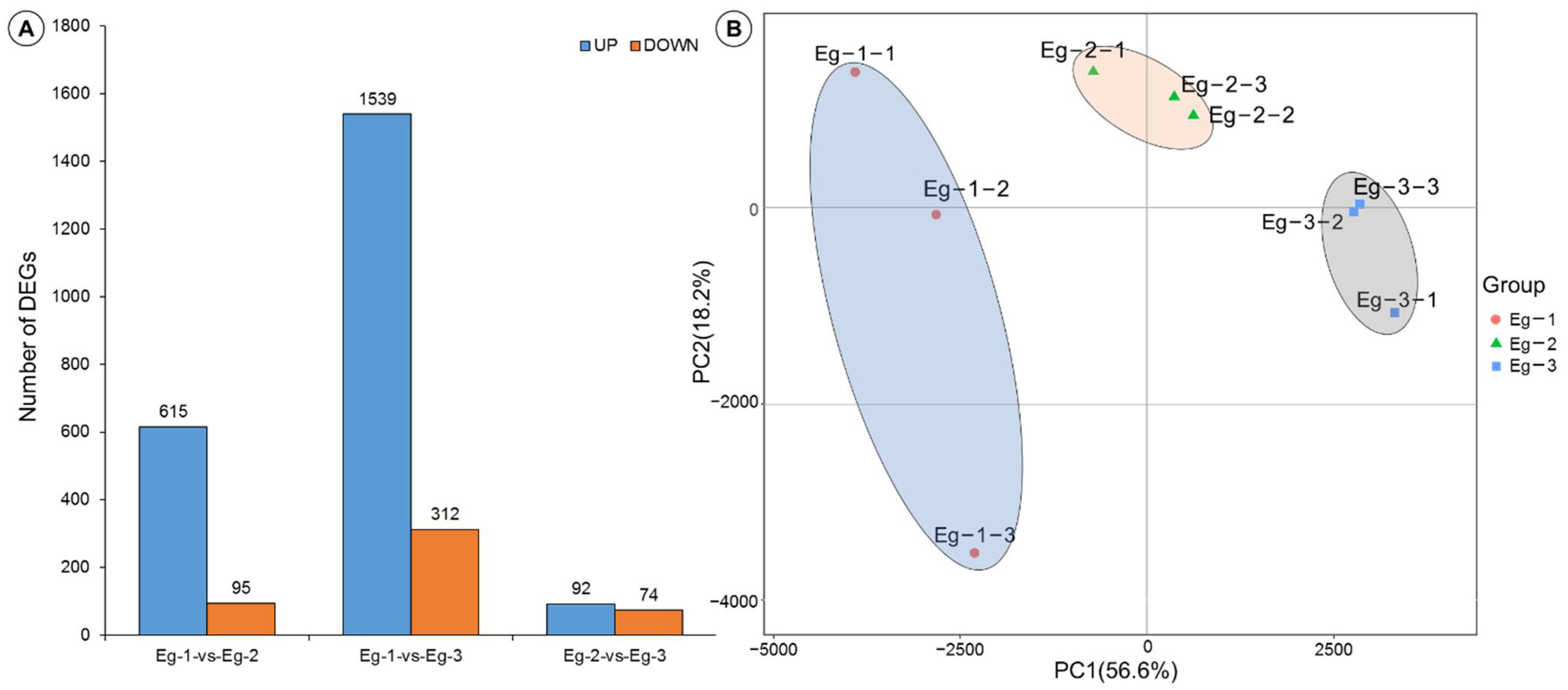 Forests 12 01254 g003