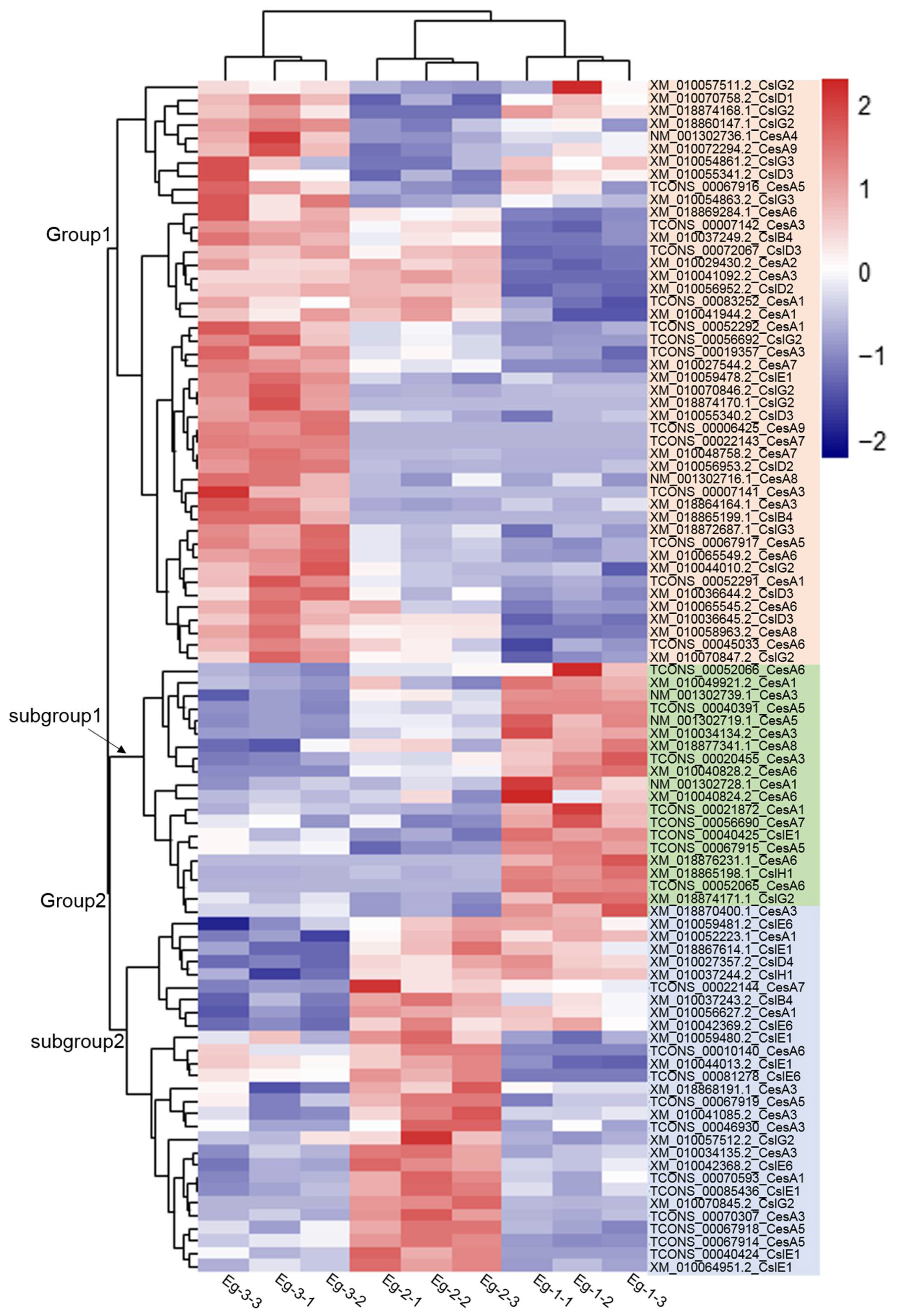 Forests 12 01254 g005