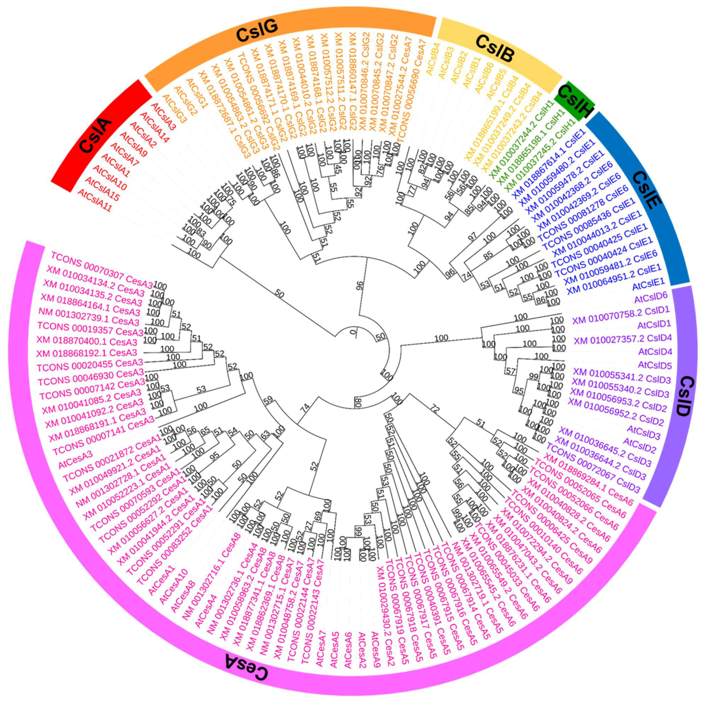 Forests 12 01254 g006