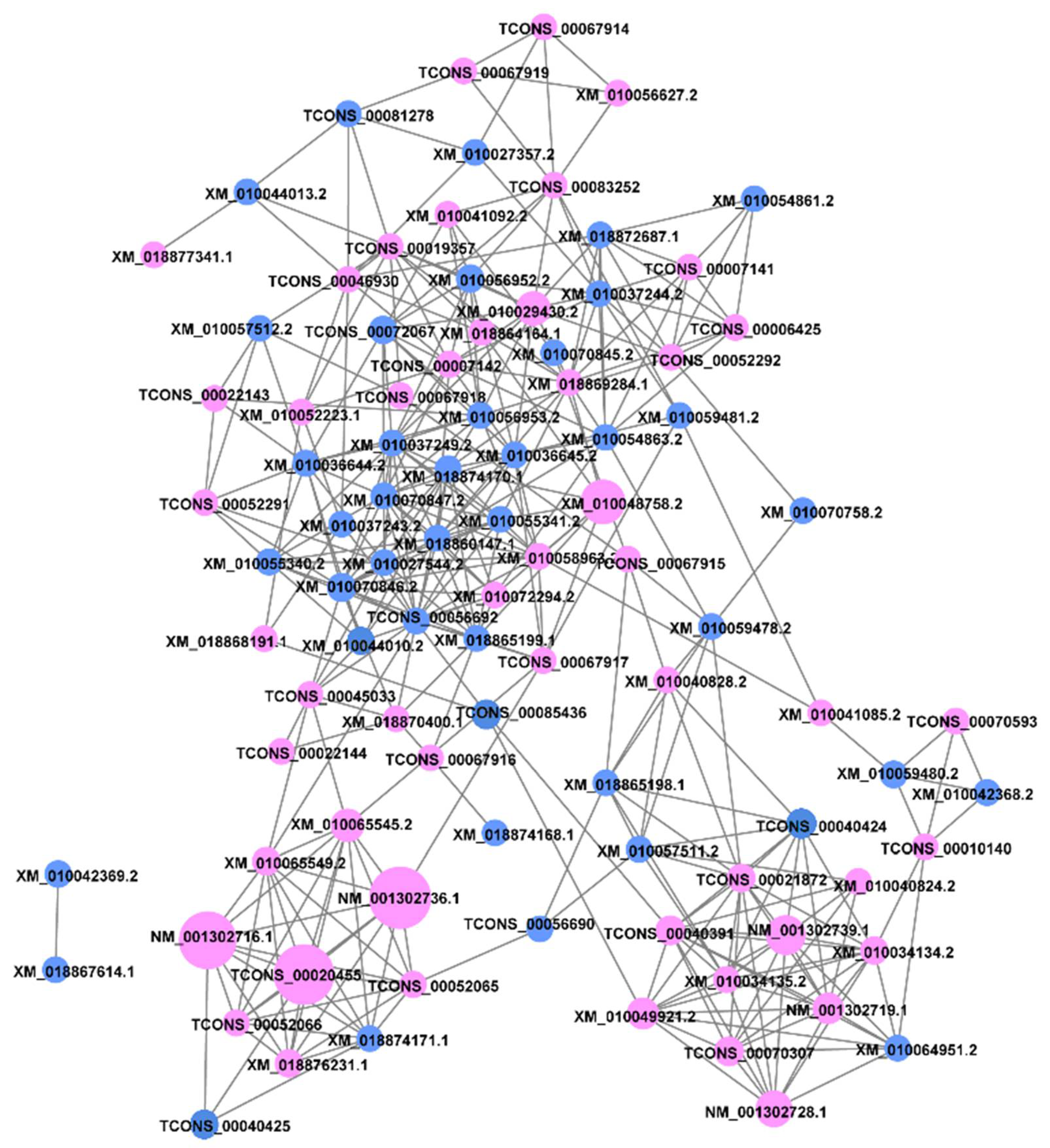 Forests 12 01254 g007