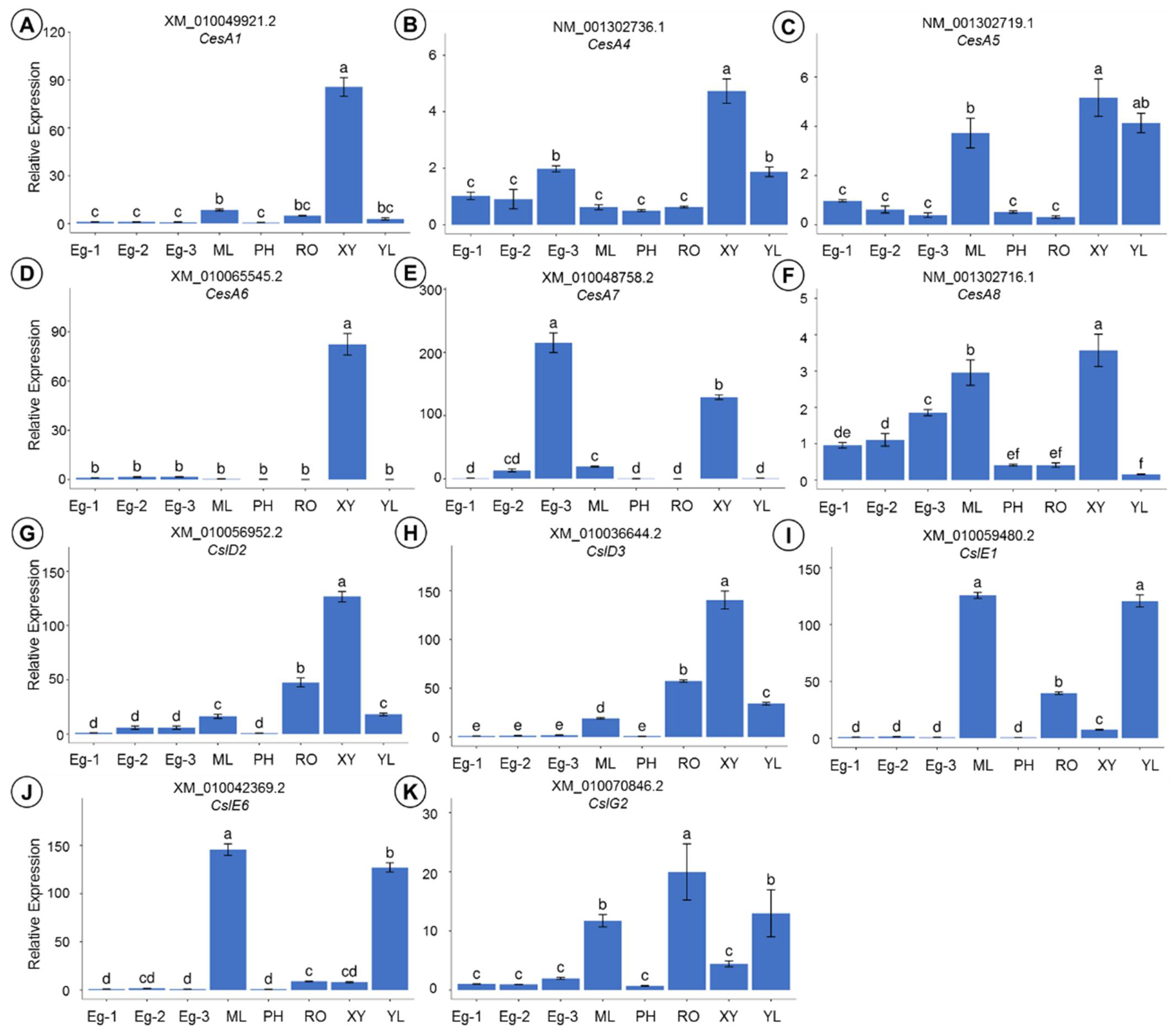 Forests 12 01254 g009