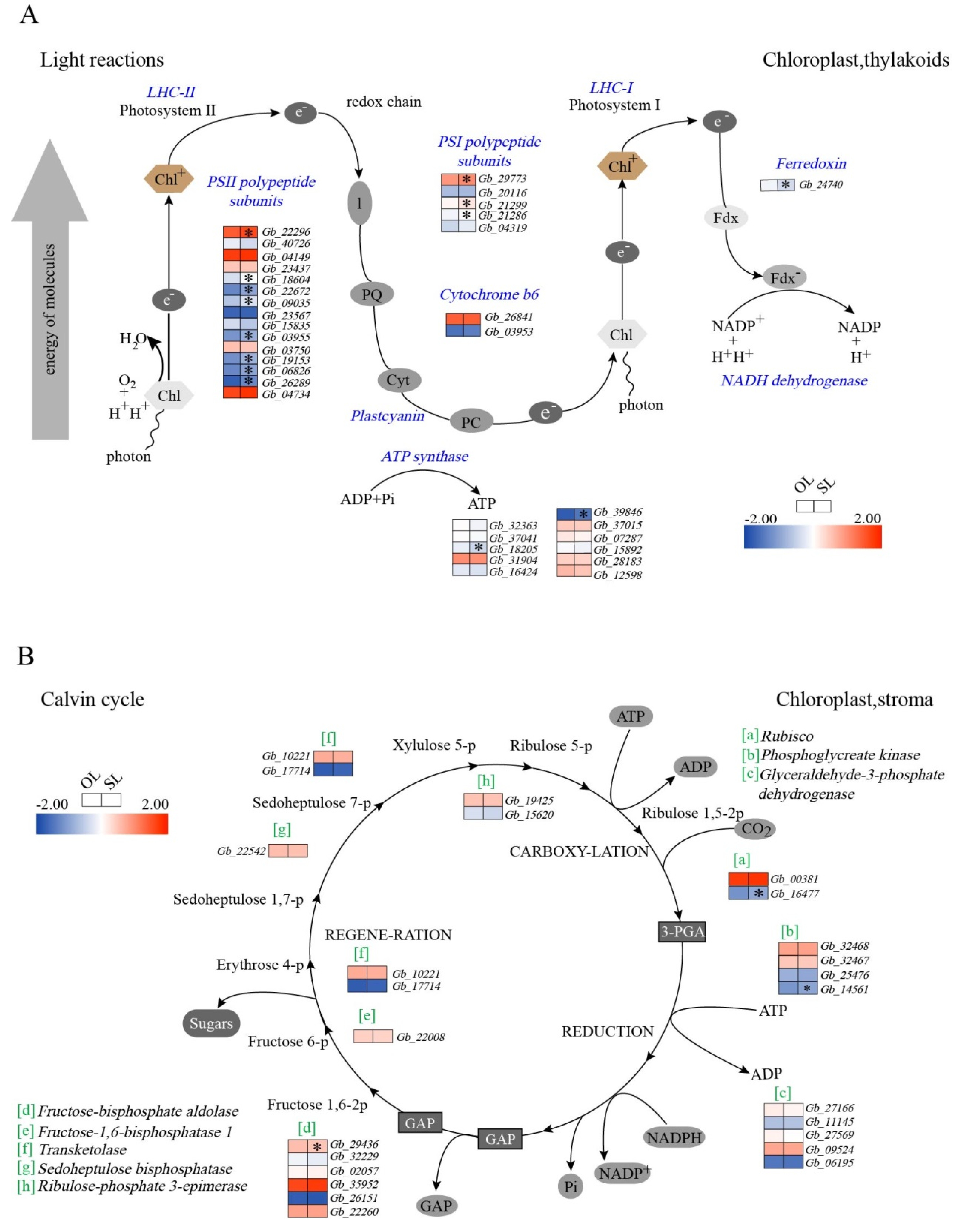 Forests 12 01255 g003 550