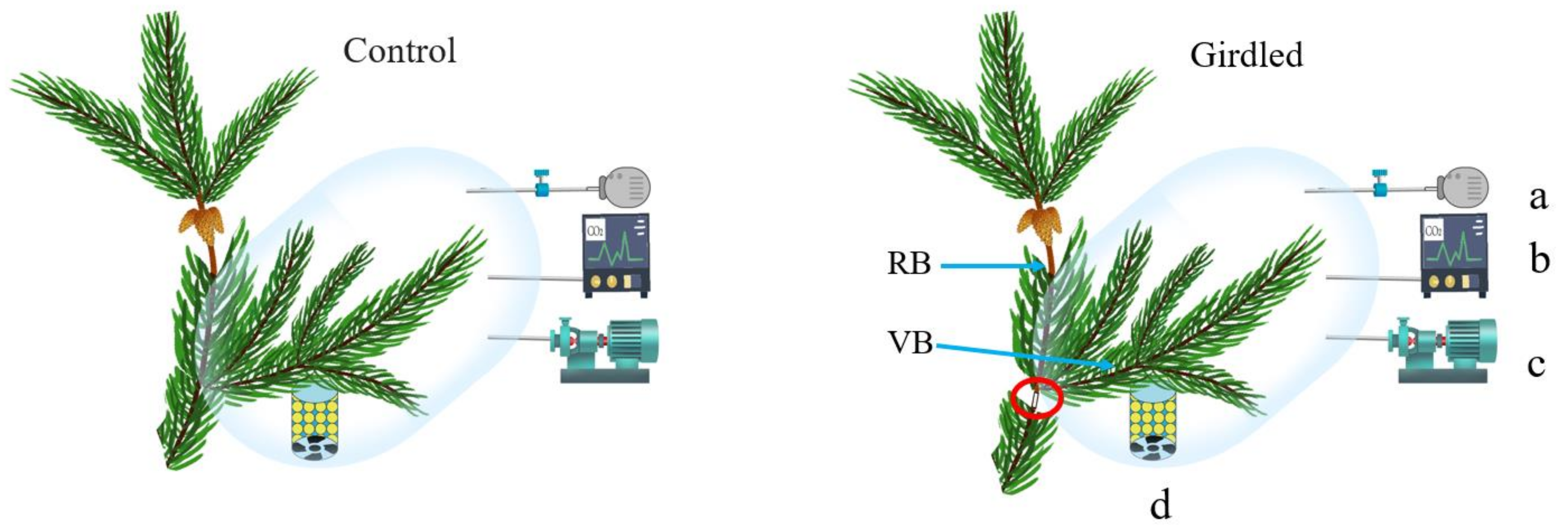 Forests 12 01257 g001 Forests 12 01257 g001
