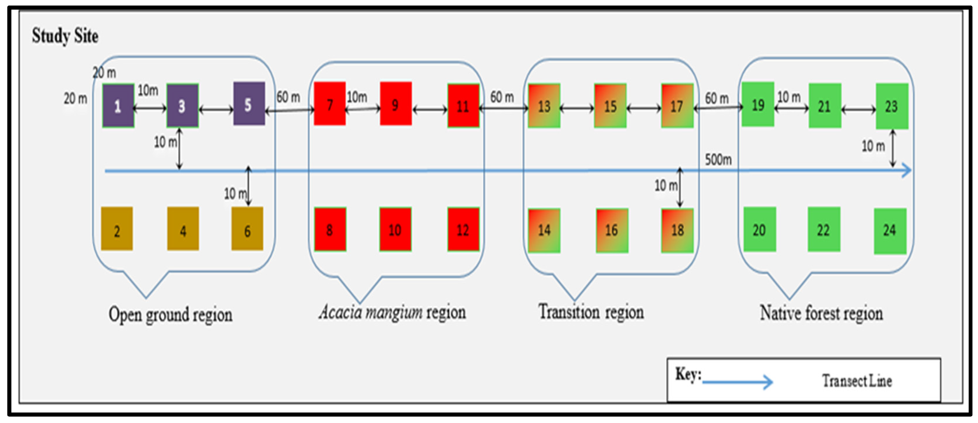 Forests 12 01259 g004