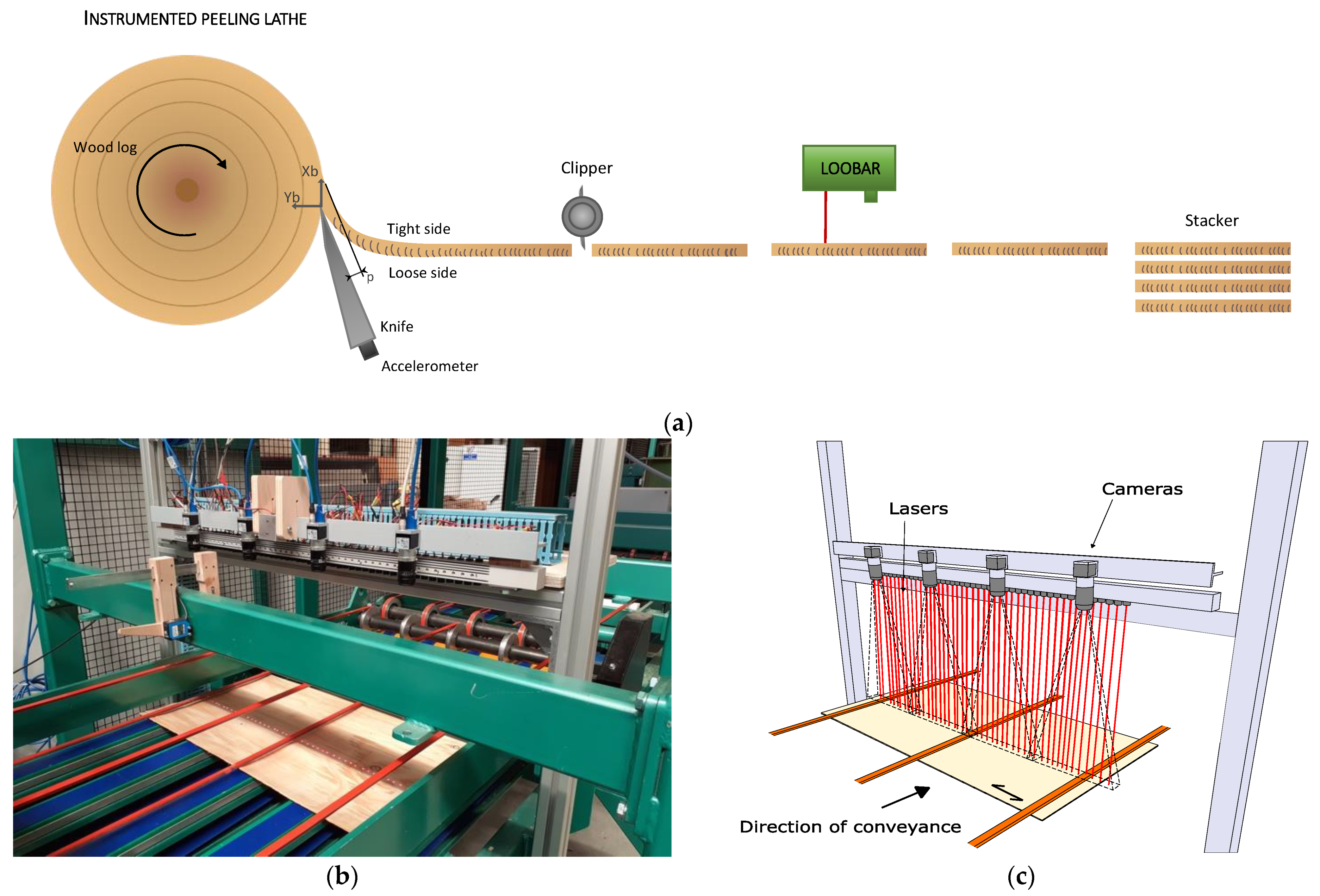 Forests Free Full Text New Perspectives for LVL Manufacturing