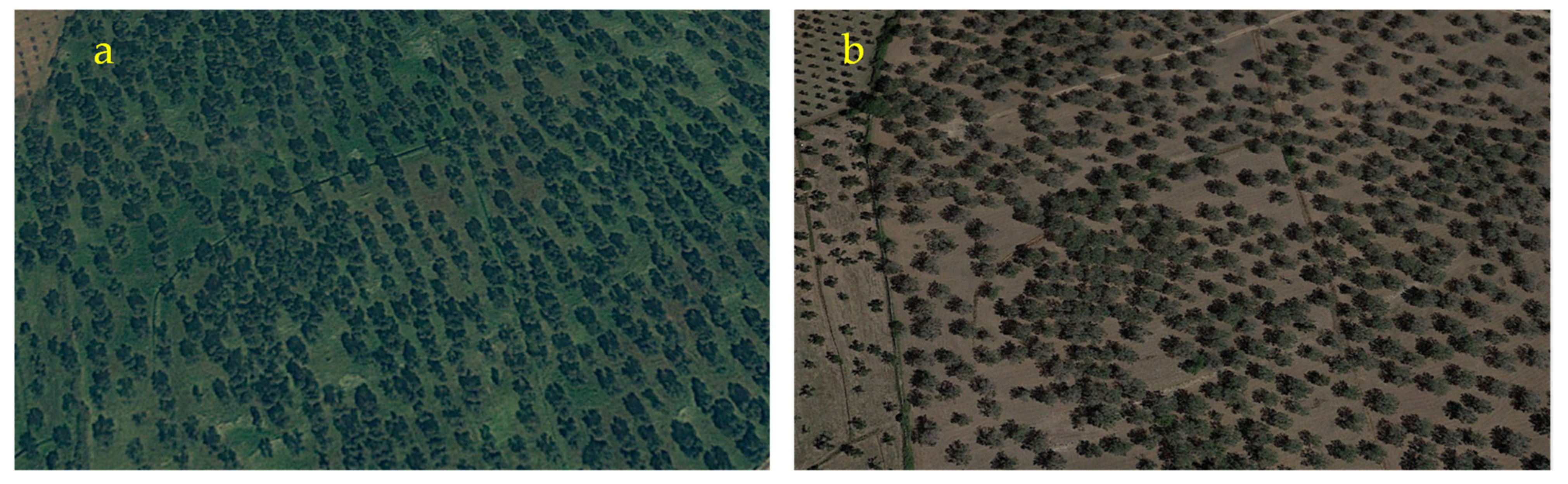 Forests 12 01266 g010 550