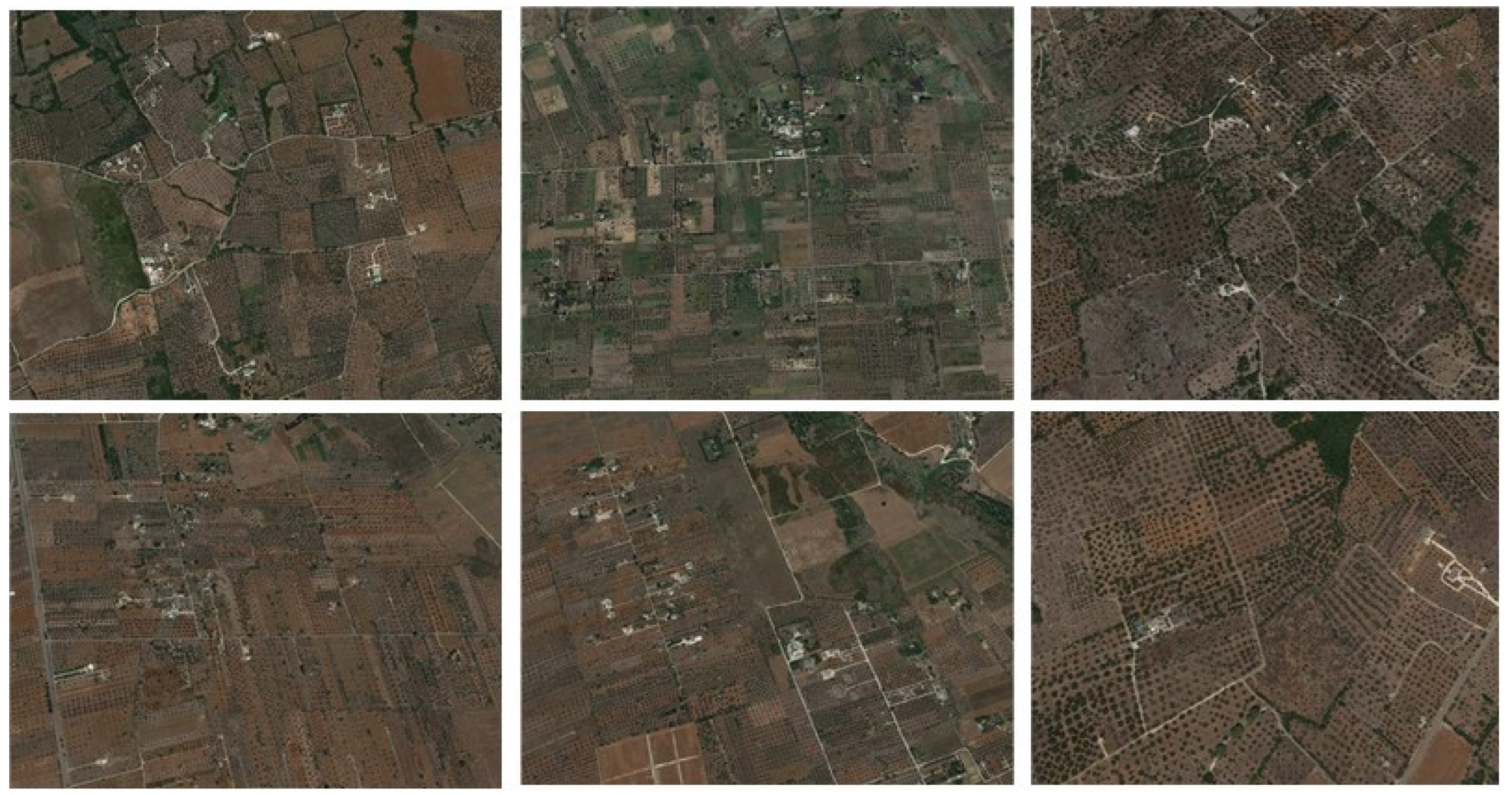 Forests 12 01266 g012 550