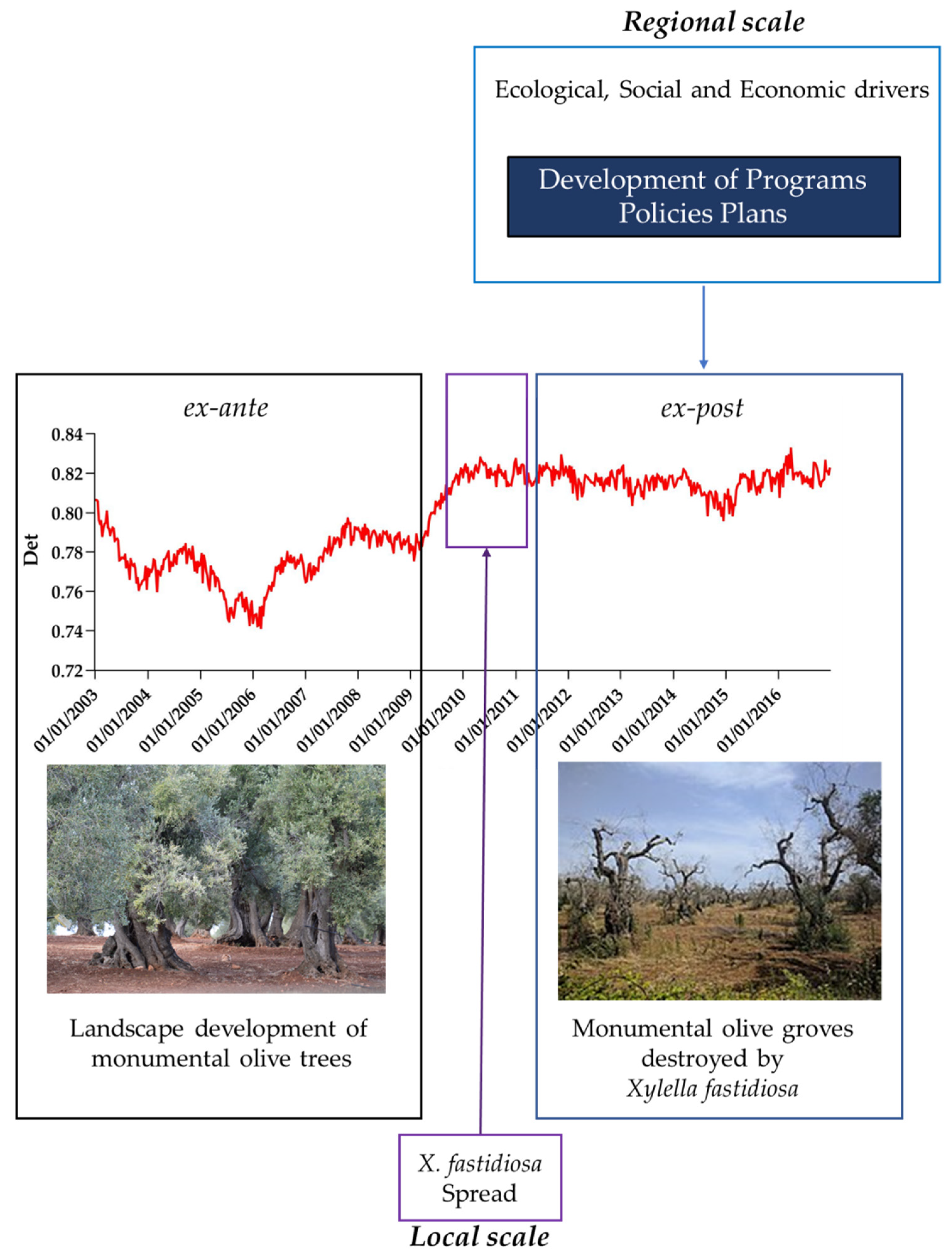 Forests 12 01266 g013 550