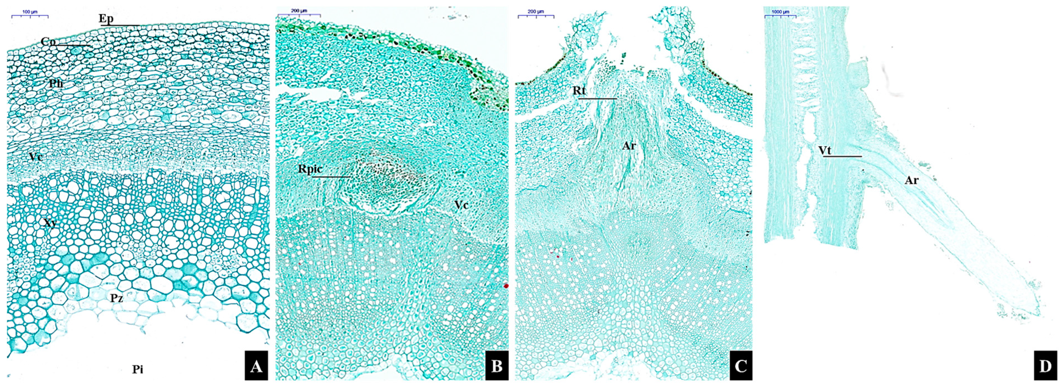 Forests 12 01267 g003 Forests 12 01267 g003
