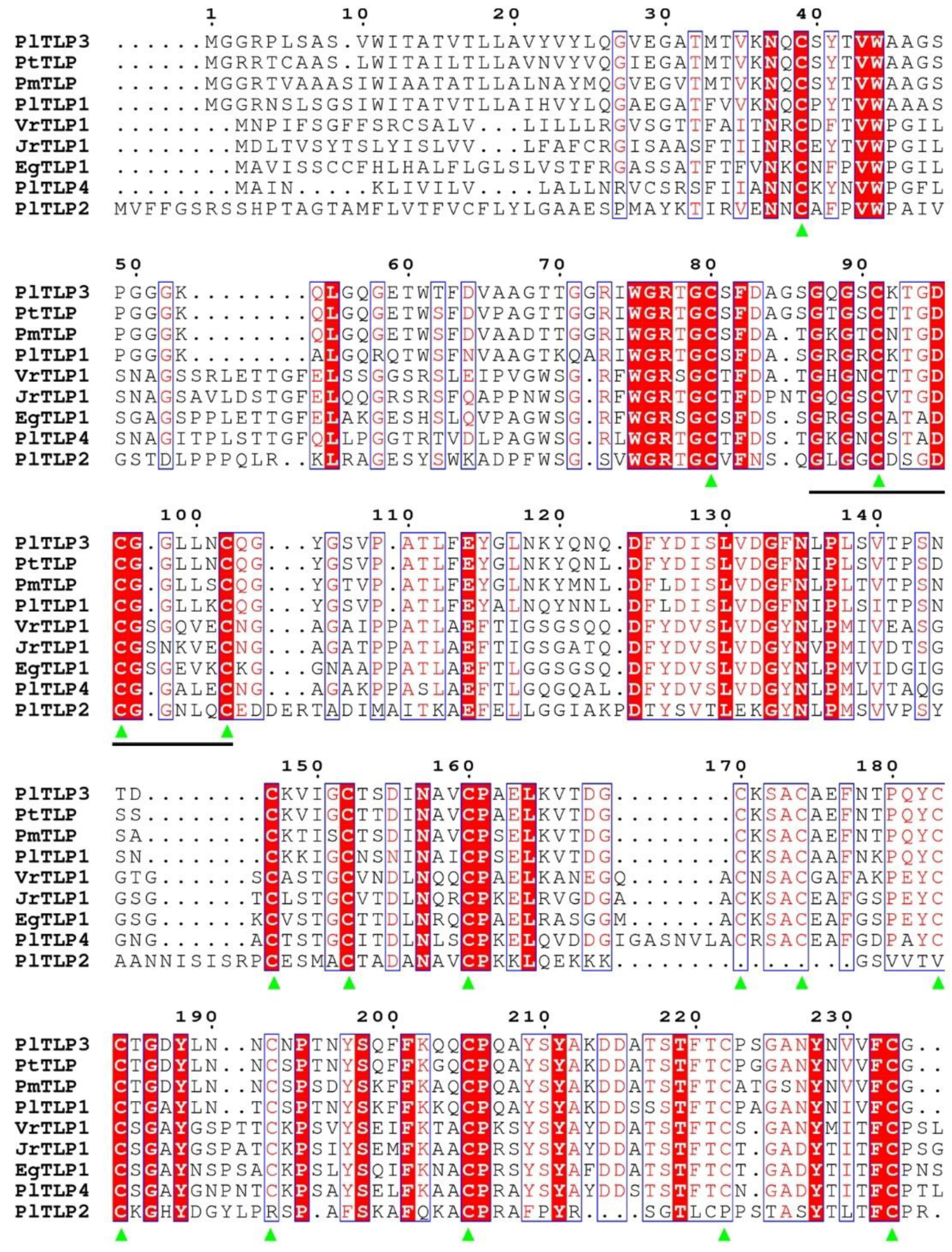 Forests 12 01268 g001