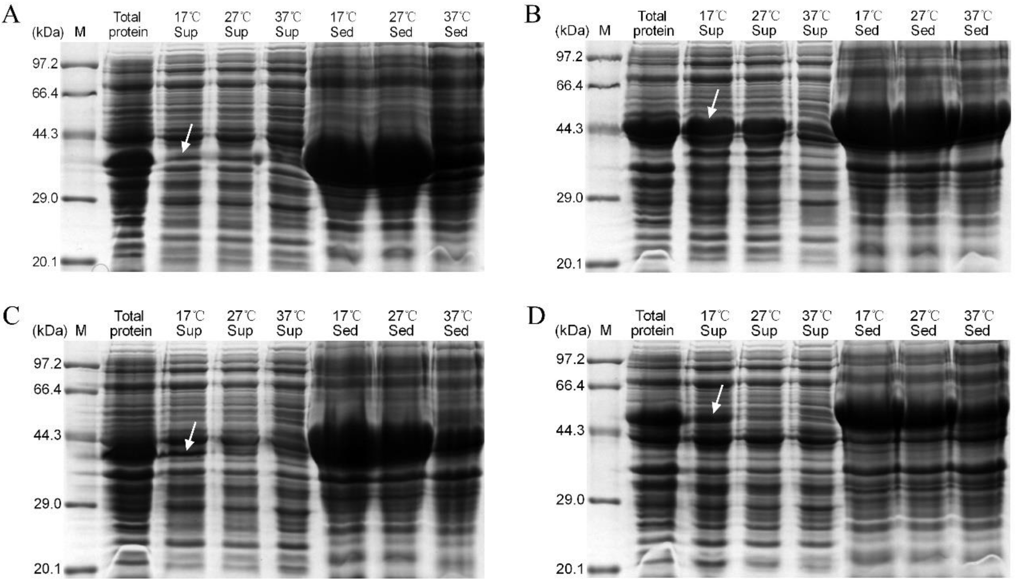 Forests 12 01268 g005