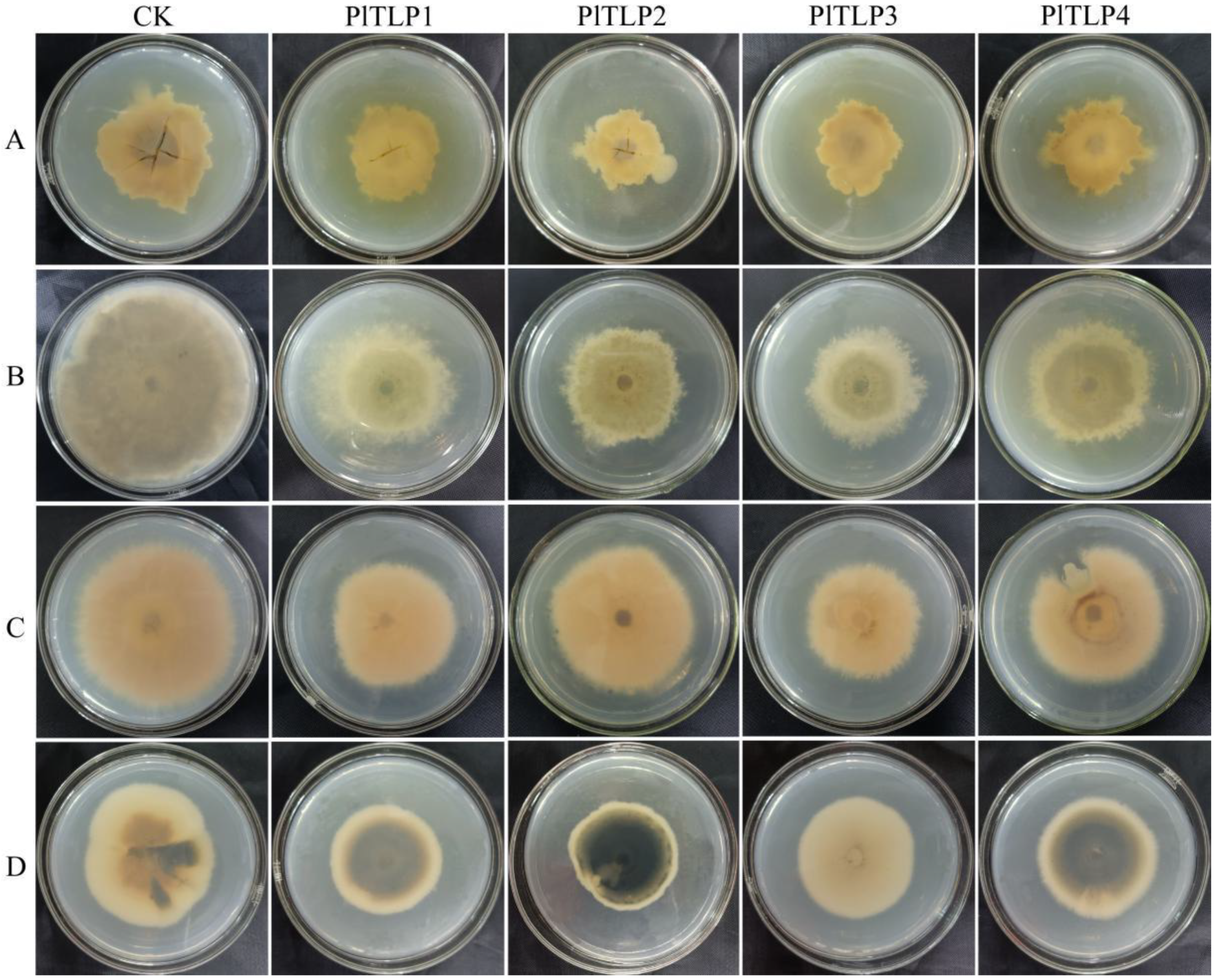Forests 12 01268 g006