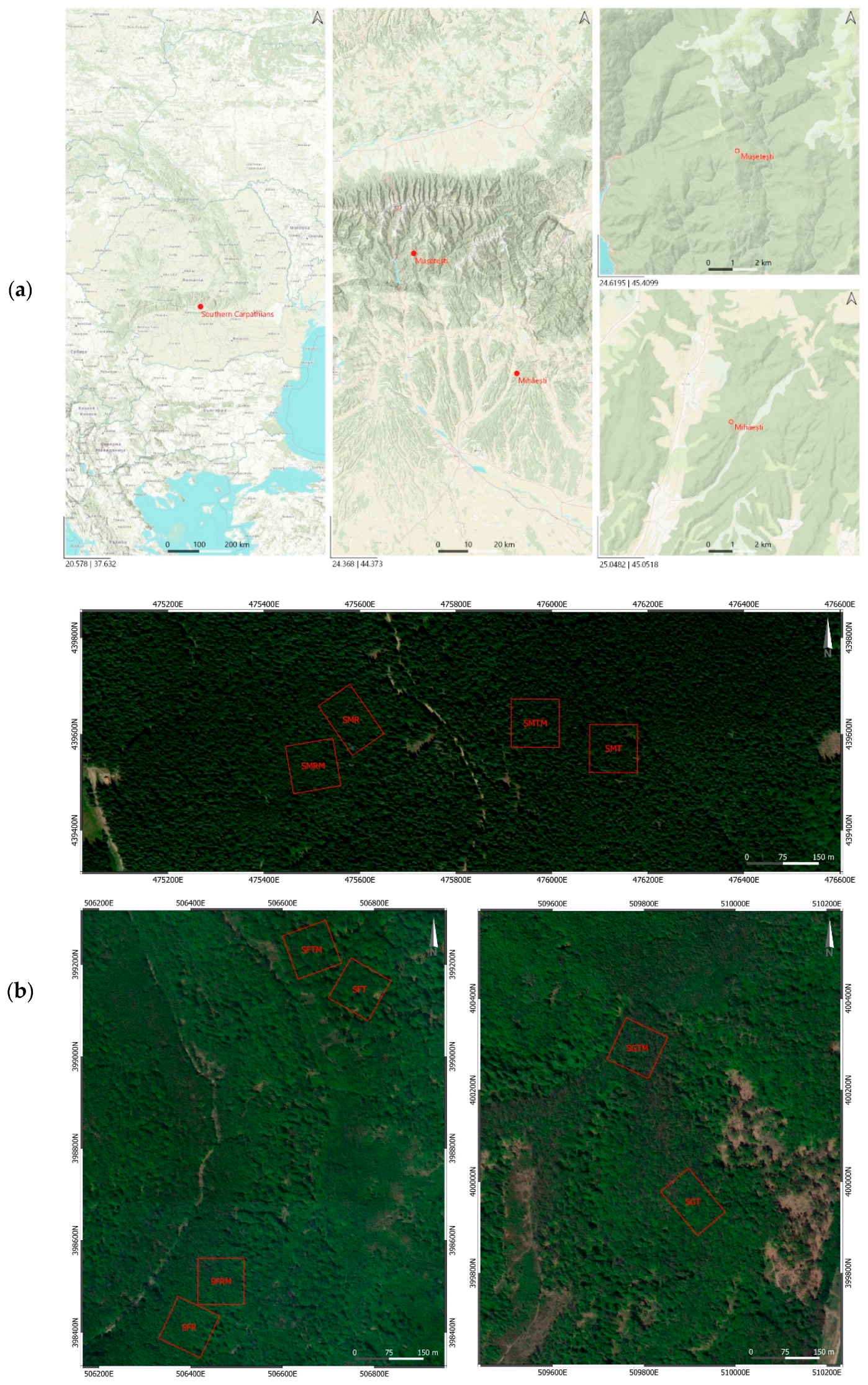 Forests 12 01269 g001