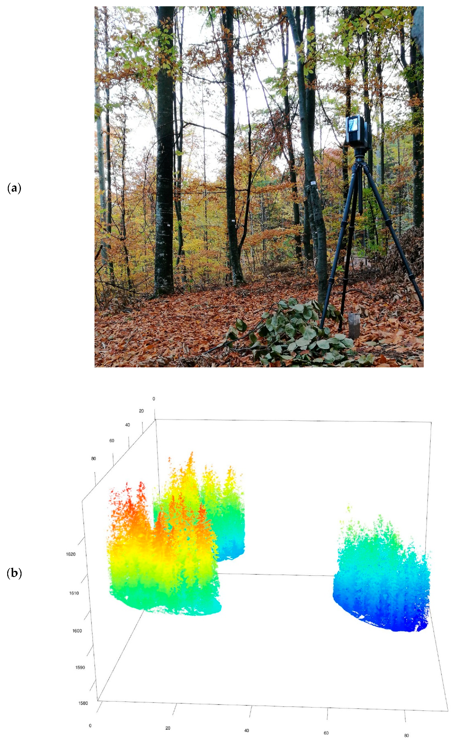 Forests 12 01269 g002