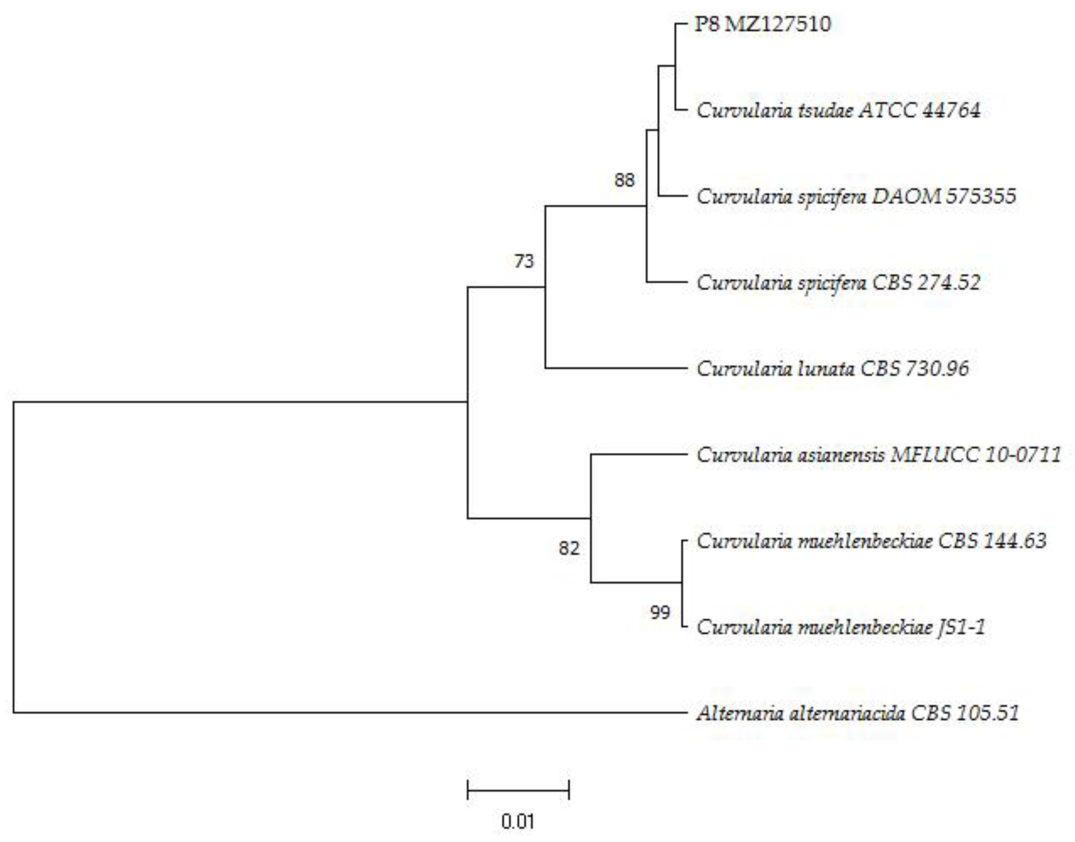 Forests 12 01273 g002