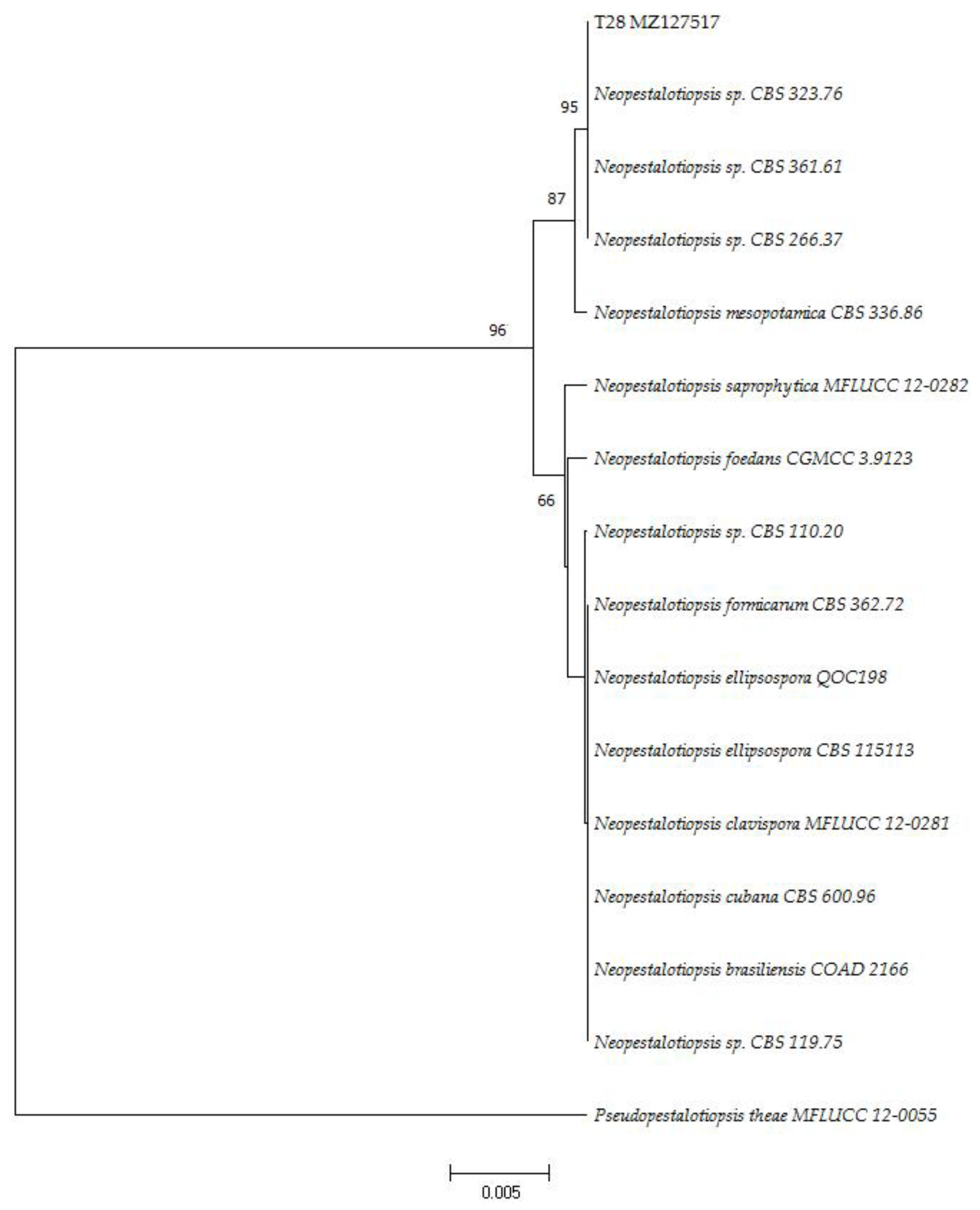 Forests 12 01273 g003