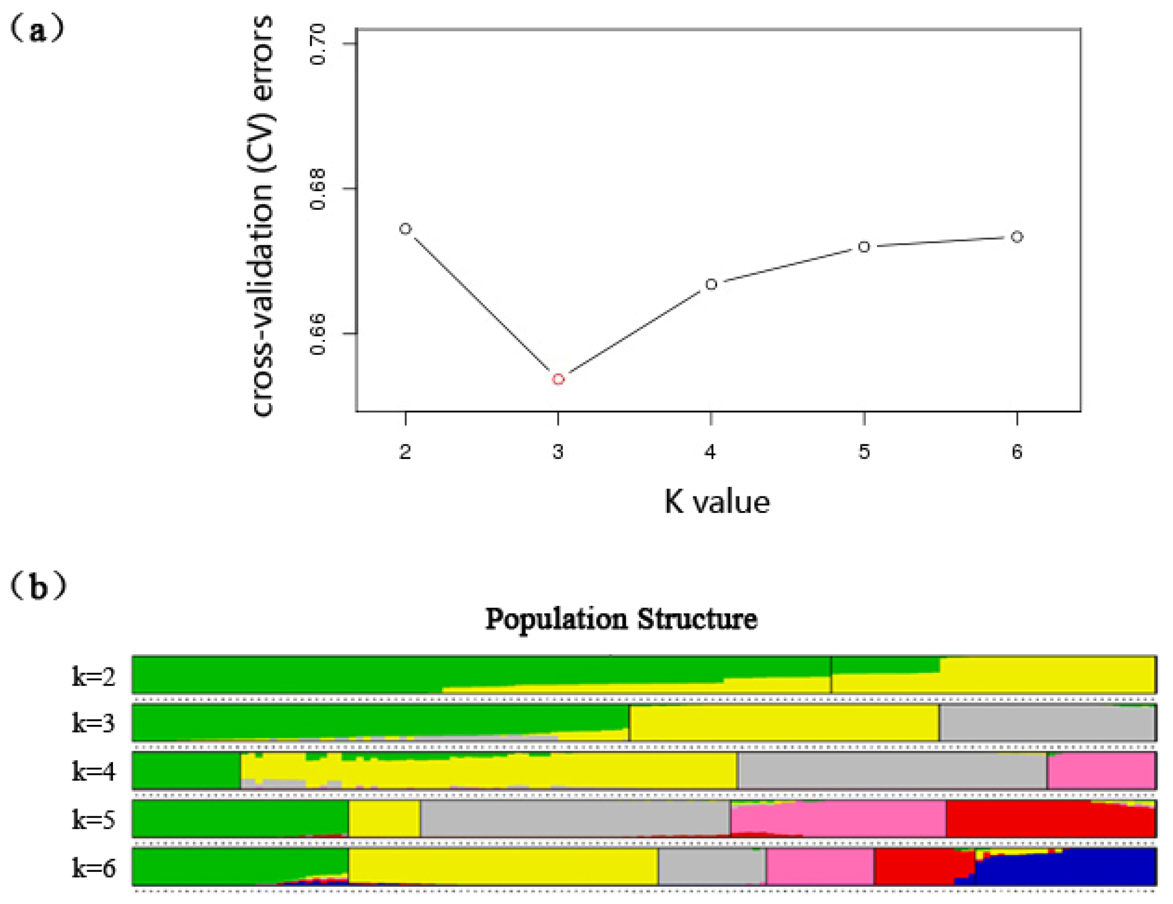 Forests 12 01282 g002 550