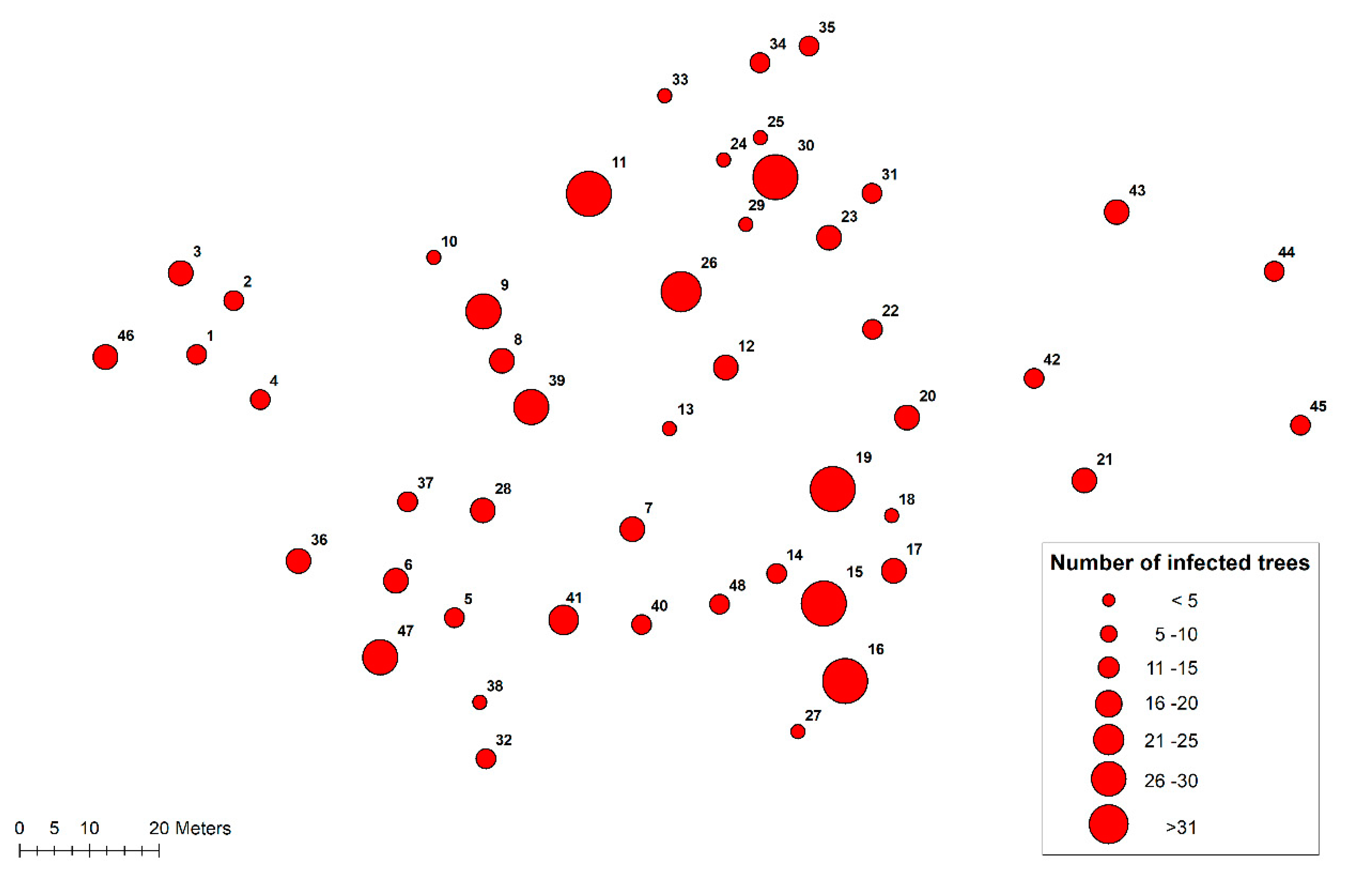 Forests 12 01289 g003 550