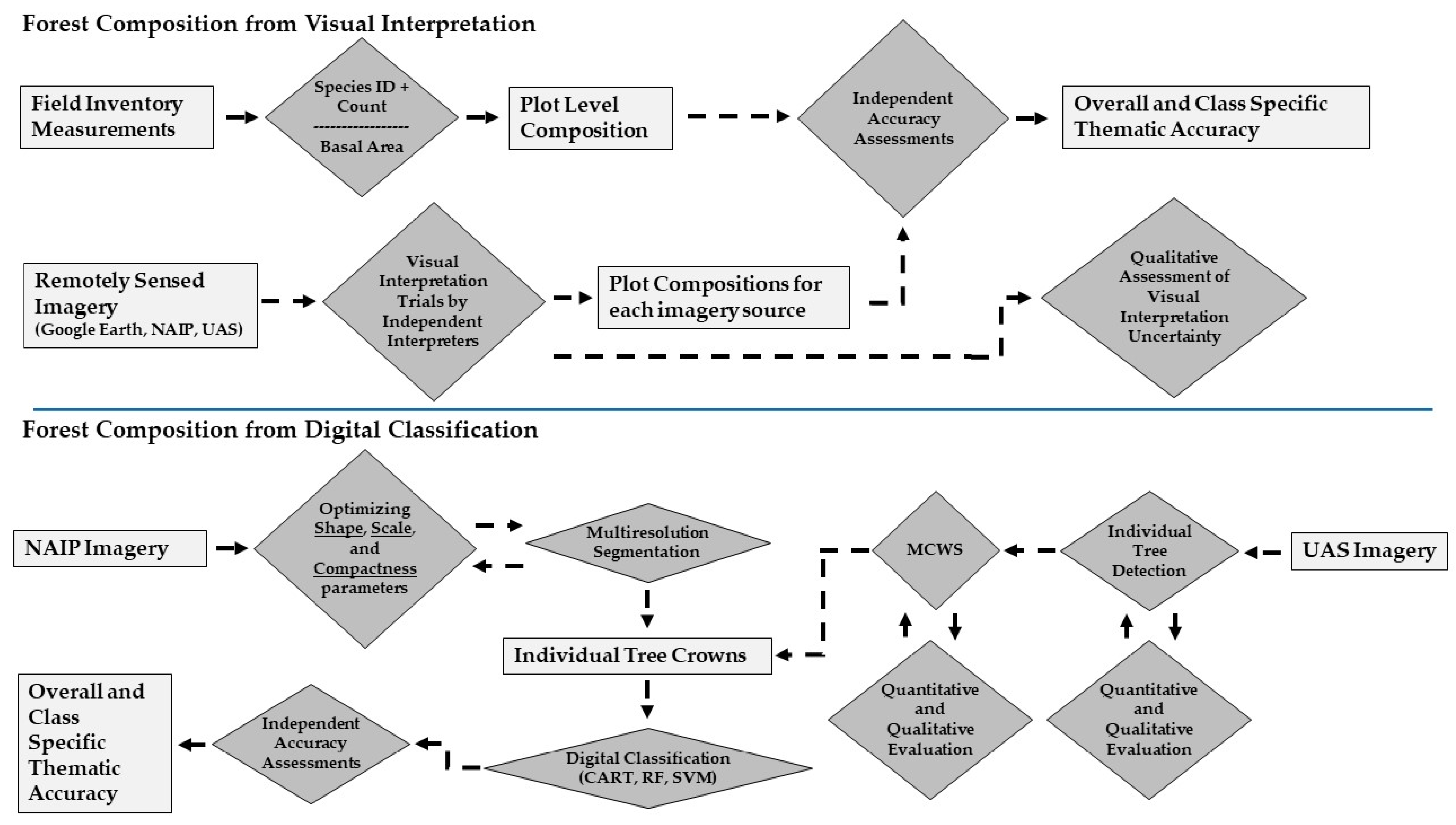 Forests 12 01290 g003