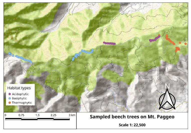 Forests 12 01297 g002