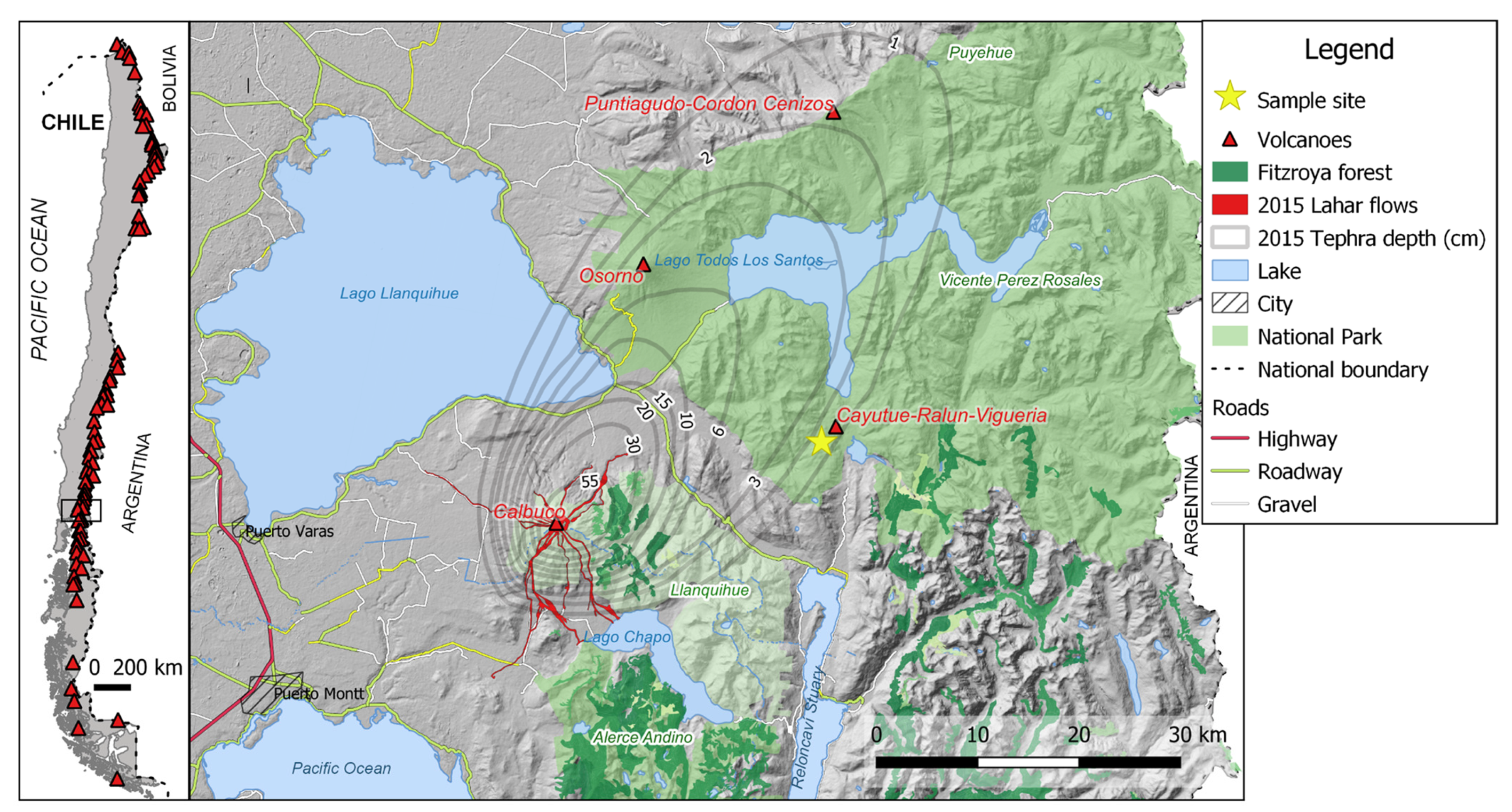 Forests 12 01305 g001 Forests 12 01305 g001