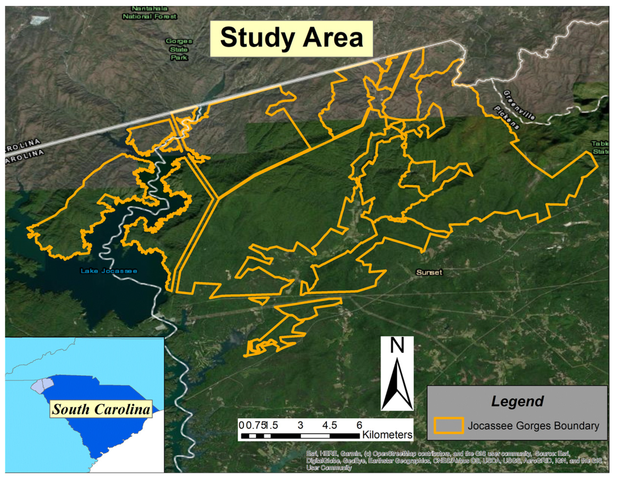 Forests 12 01307 g002 550